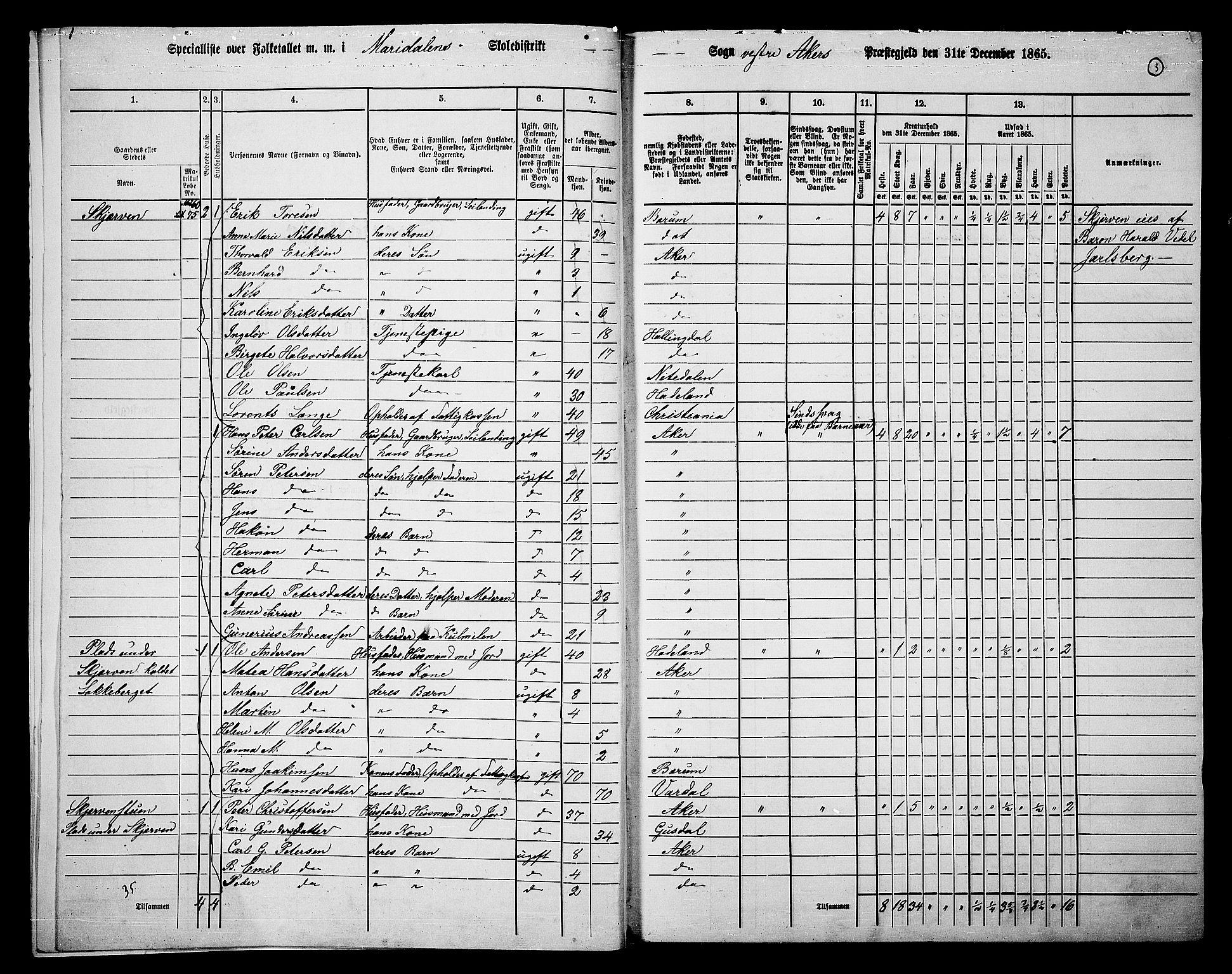 RA, 1865 census for Vestre Aker, 1865, p. 187