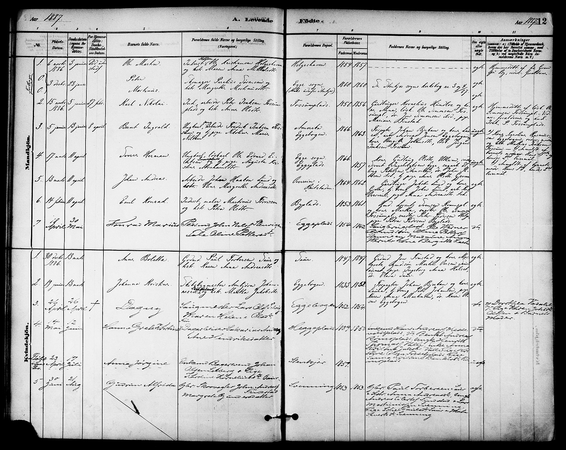 Ministerialprotokoller, klokkerbøker og fødselsregistre - Nord-Trøndelag, SAT/A-1458/740/L0378: Parish register (official) no. 740A01, 1881-1895, p. 12