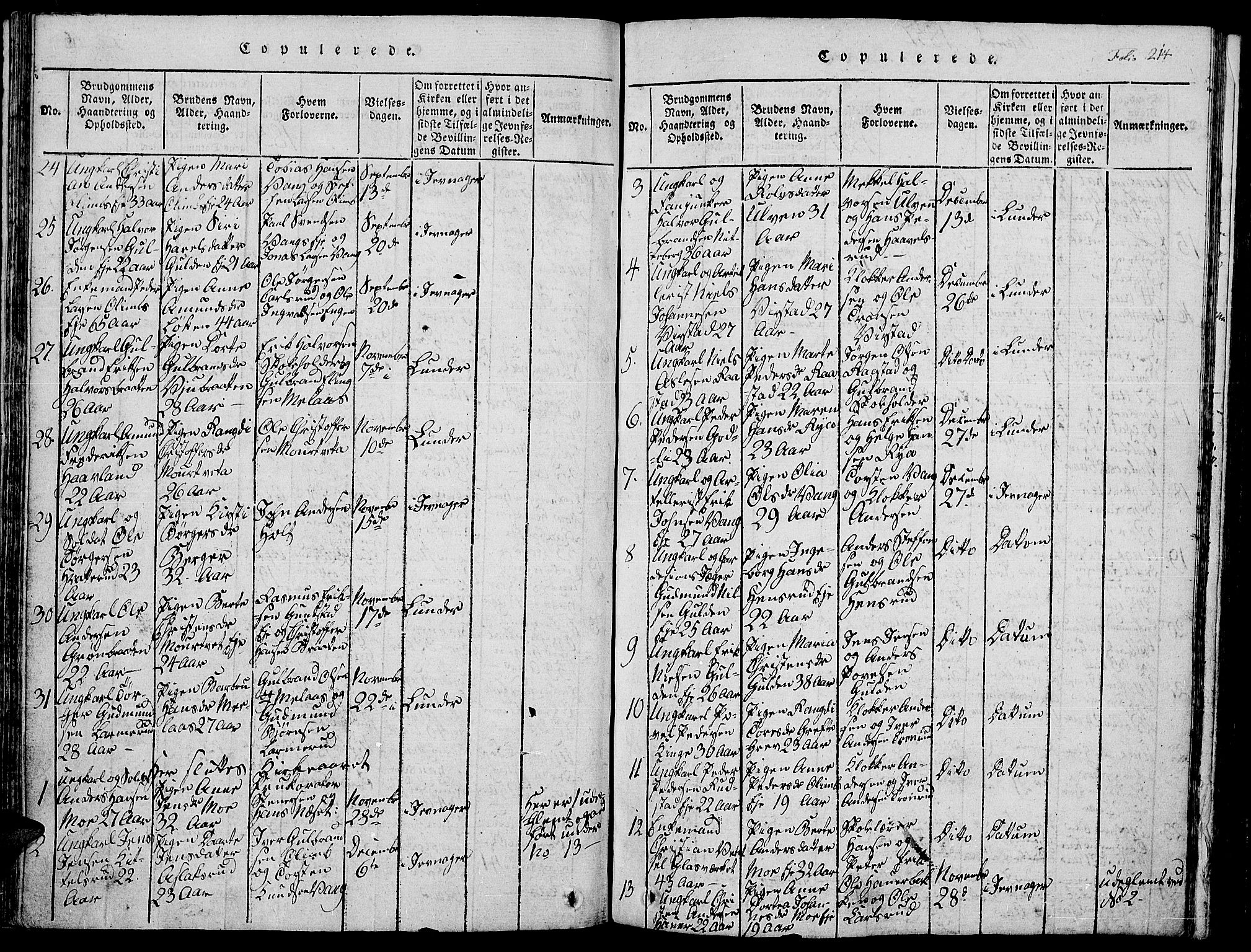 Jevnaker prestekontor, SAH/PREST-116/H/Ha/Hab/L0001: Parish register (copy) no. 1, 1815-1837, p. 214