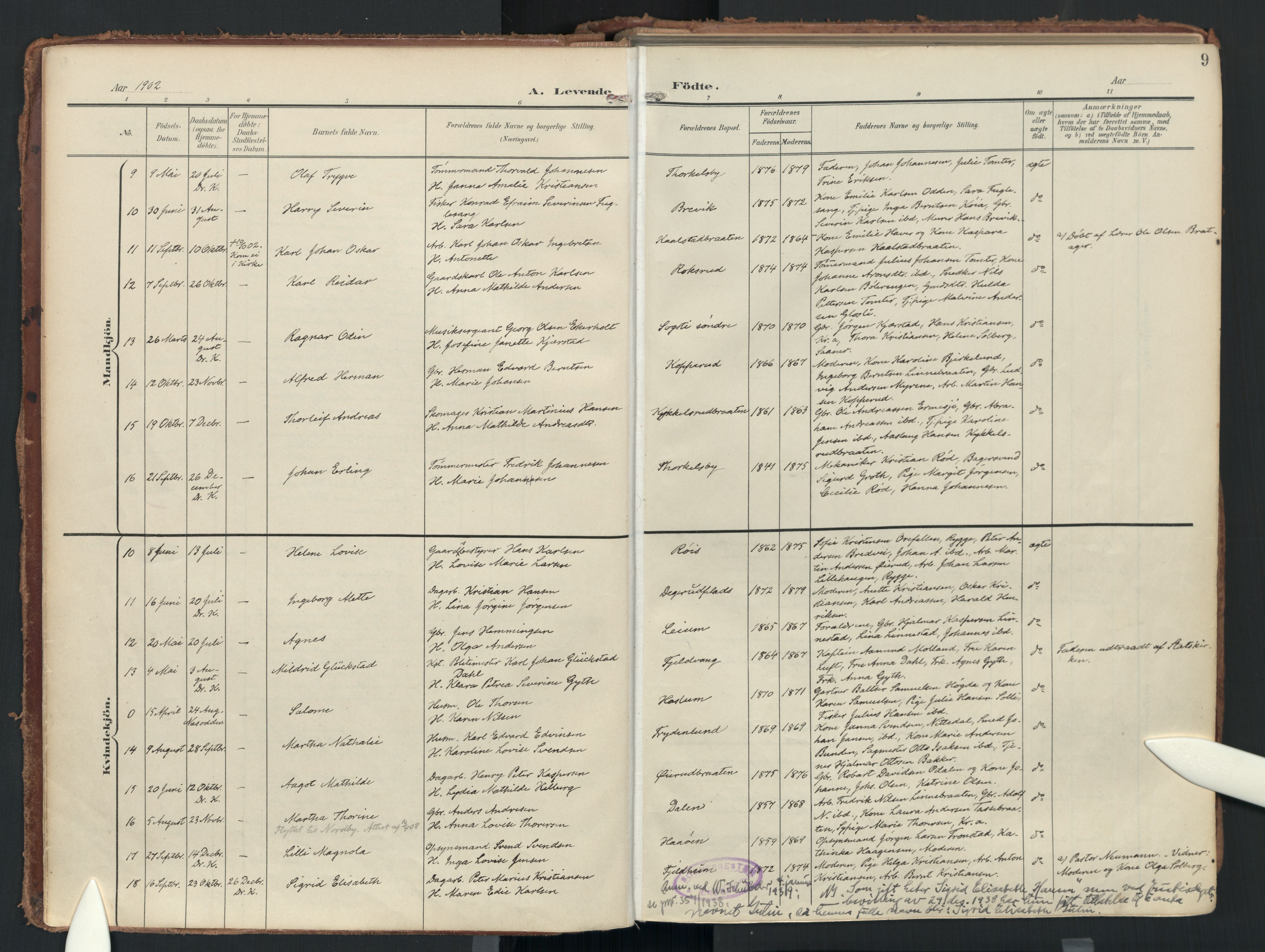 Drøbak prestekontor Kirkebøker, SAO/A-10142a/F/Fc/L0003: Parish register (official) no. III 3, 1901-1920, p. 9