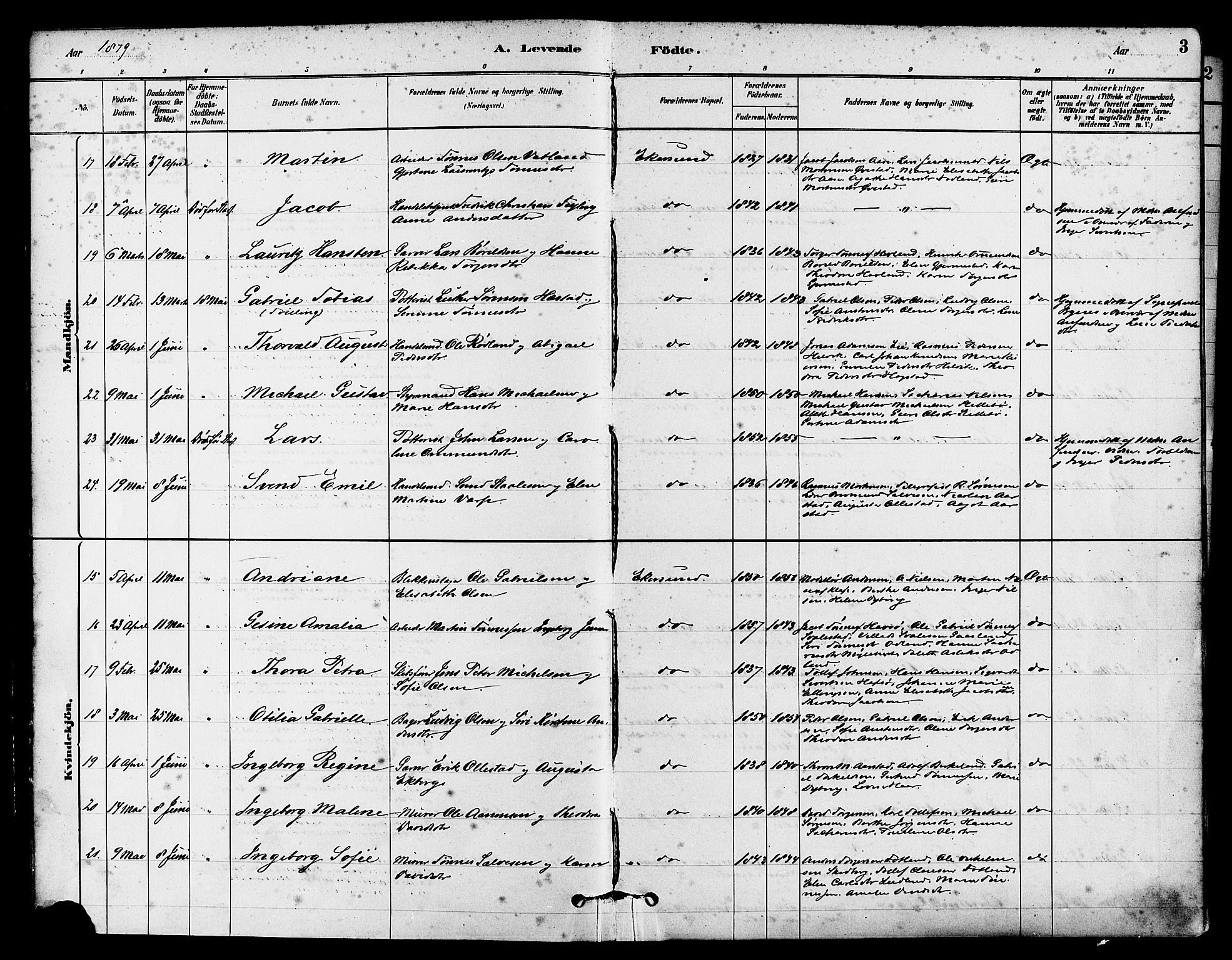 Eigersund sokneprestkontor, AV/SAST-A-101807/S08/L0015: Parish register (official) no. A 15, 1879-1892, p. 3