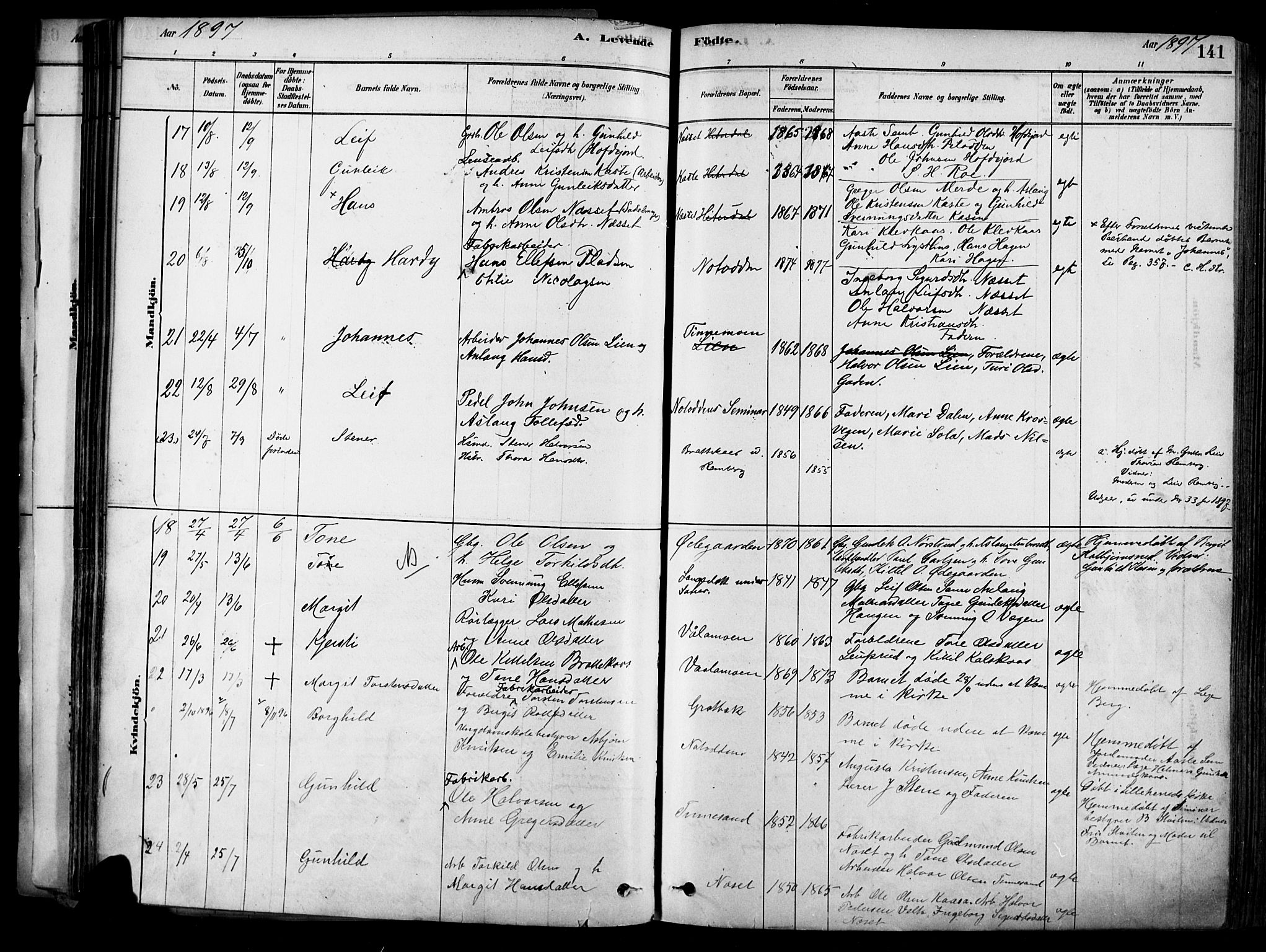 Heddal kirkebøker, SAKO/A-268/F/Fa/L0008: Parish register (official) no. I 8, 1878-1903, p. 141