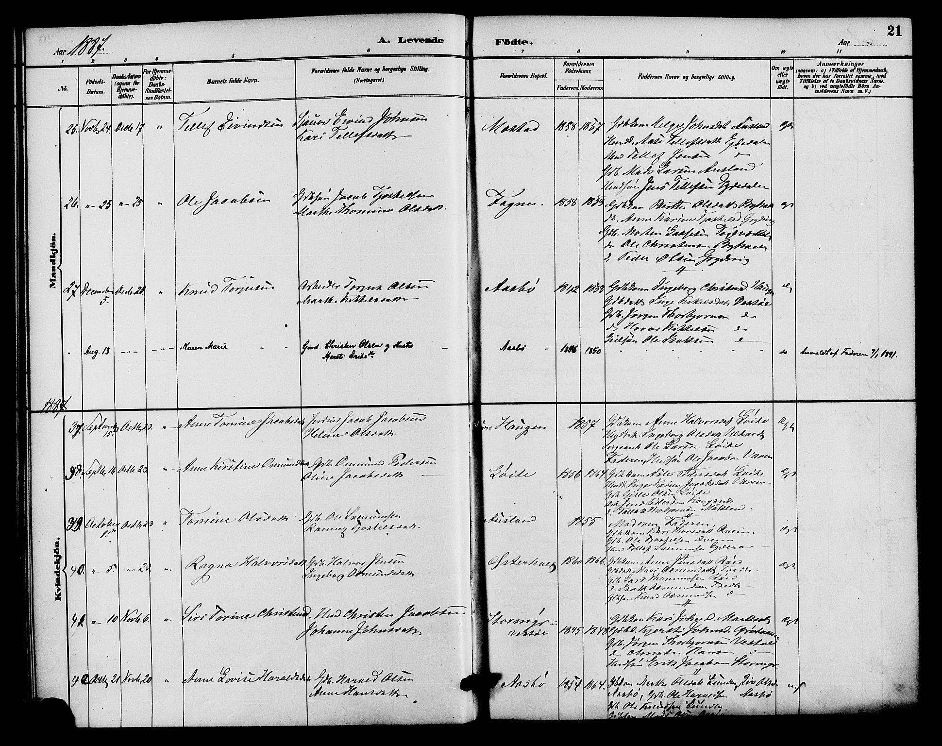 Gjerstad sokneprestkontor, AV/SAK-1111-0014/F/Fa/Faa/L0009: Parish register (official) no. A 9, 1885-1890, p. 21