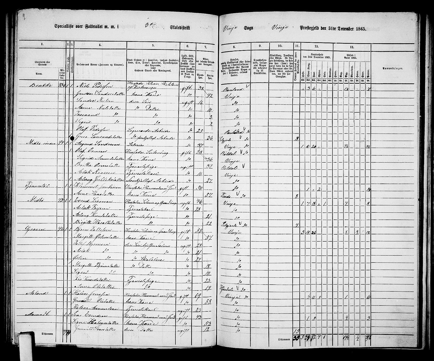 RA, 1865 census for Vinje, 1865, p. 29