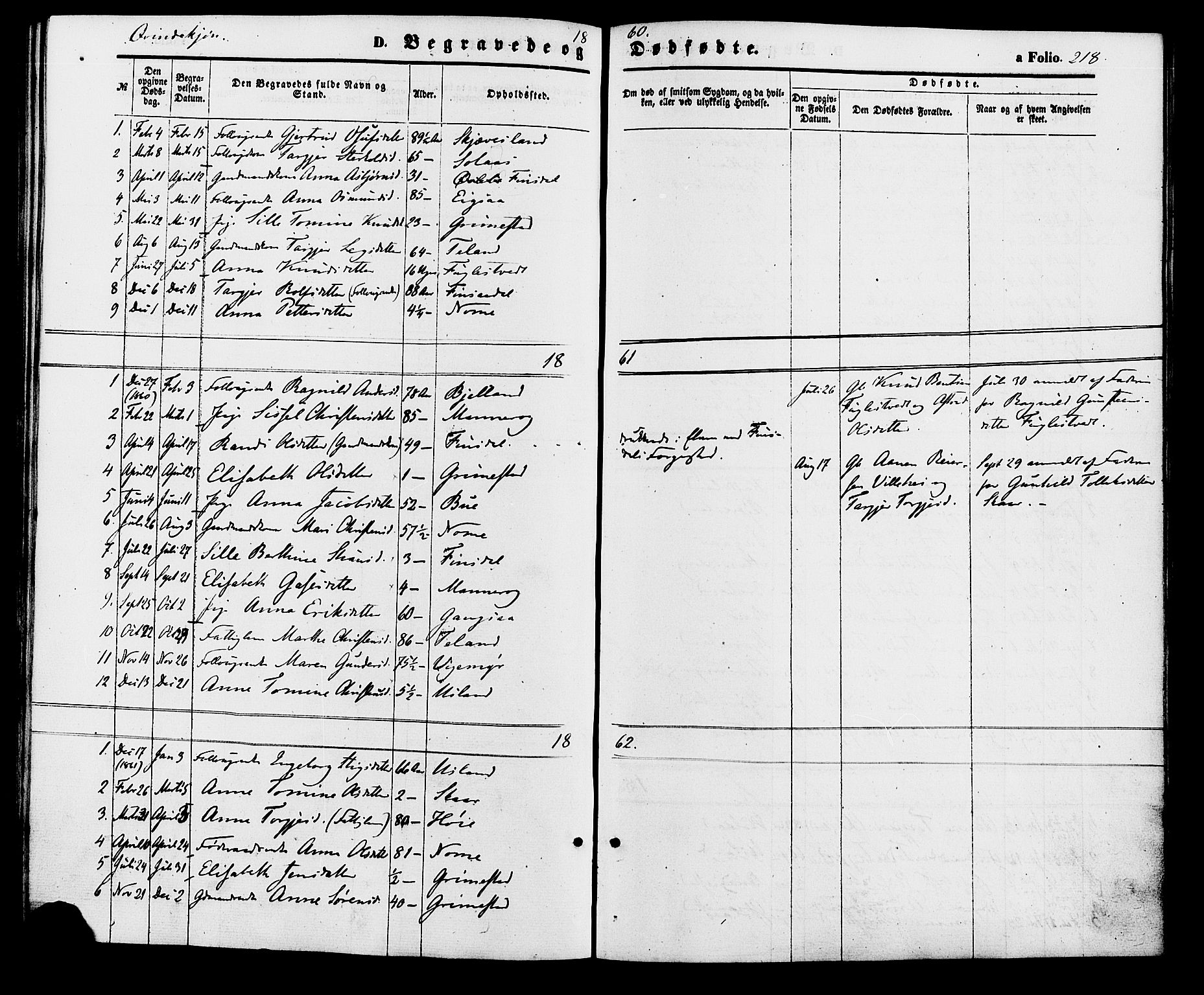 Holum sokneprestkontor, SAK/1111-0022/F/Fa/Fac/L0003: Parish register (official) no. A 3, 1860-1883, p. 218