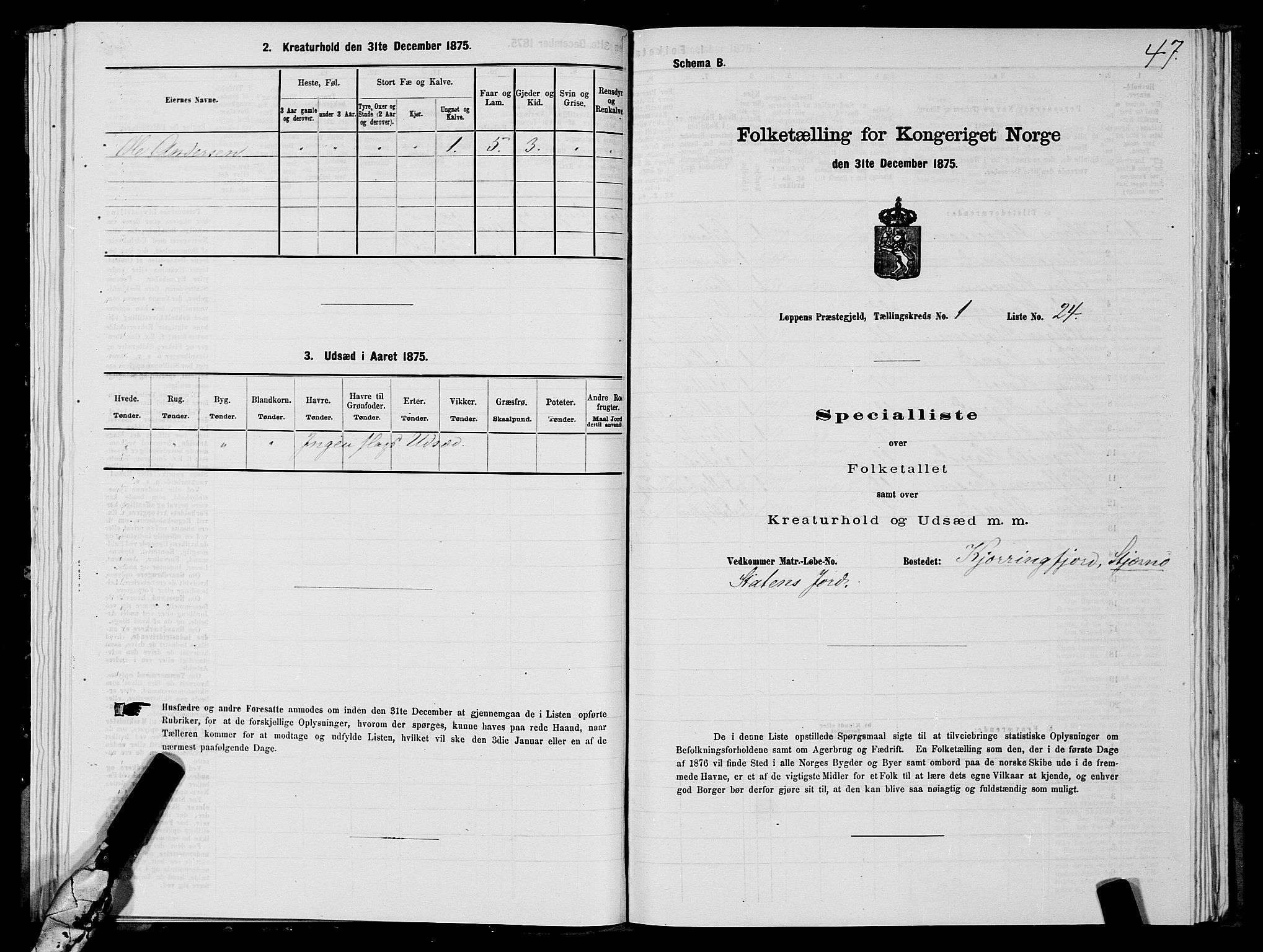 SATØ, 1875 census for 2014P Loppa, 1875, p. 1047