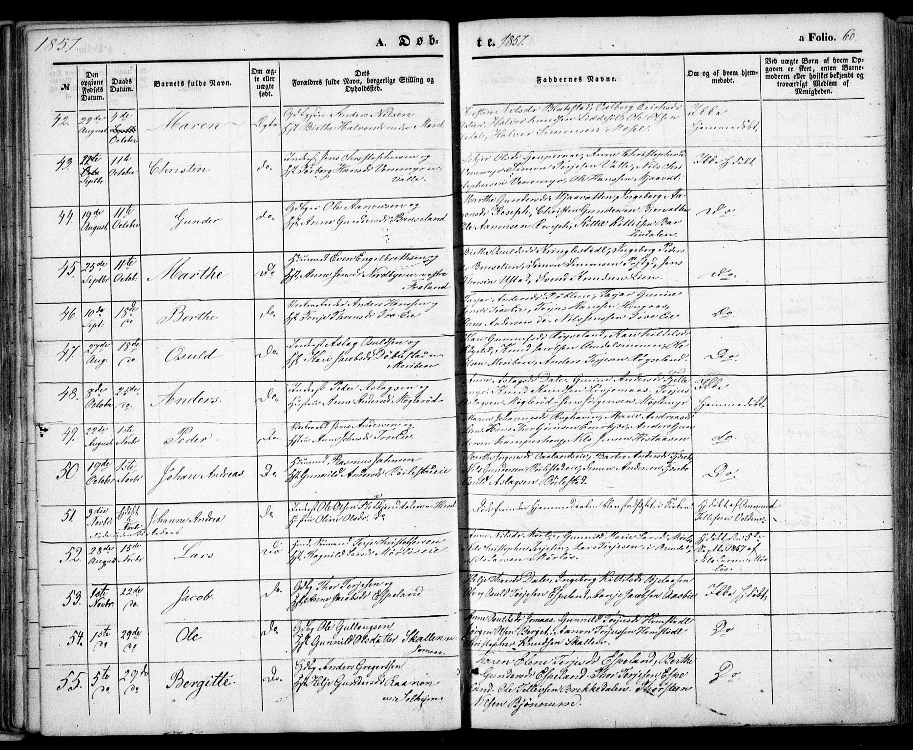 Froland sokneprestkontor, SAK/1111-0013/F/Fa/L0002: Parish register (official) no. A 2, 1845-1863, p. 60
