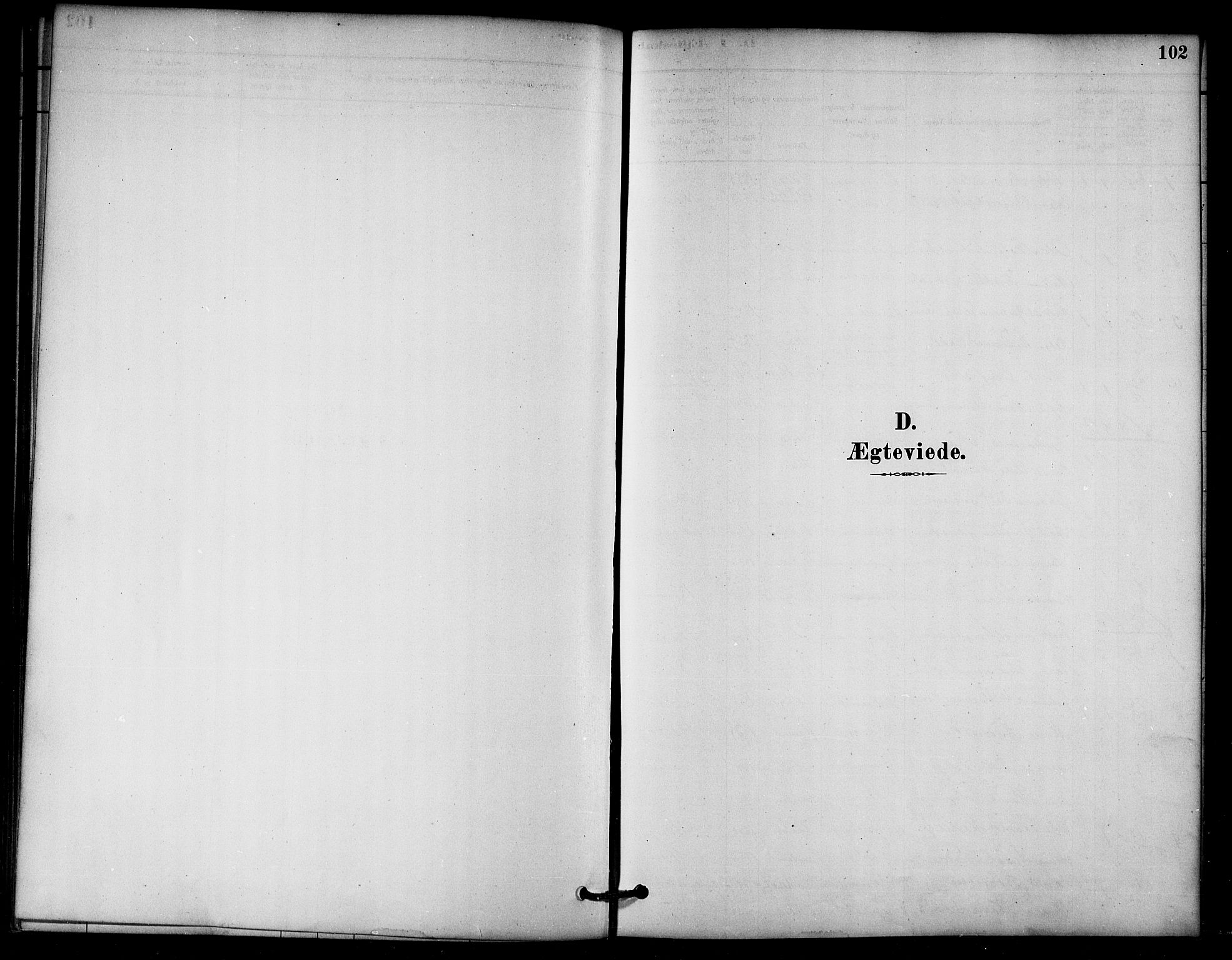 Ministerialprotokoller, klokkerbøker og fødselsregistre - Nord-Trøndelag, SAT/A-1458/766/L0563: Parish register (official) no. 767A01, 1881-1899, p. 102