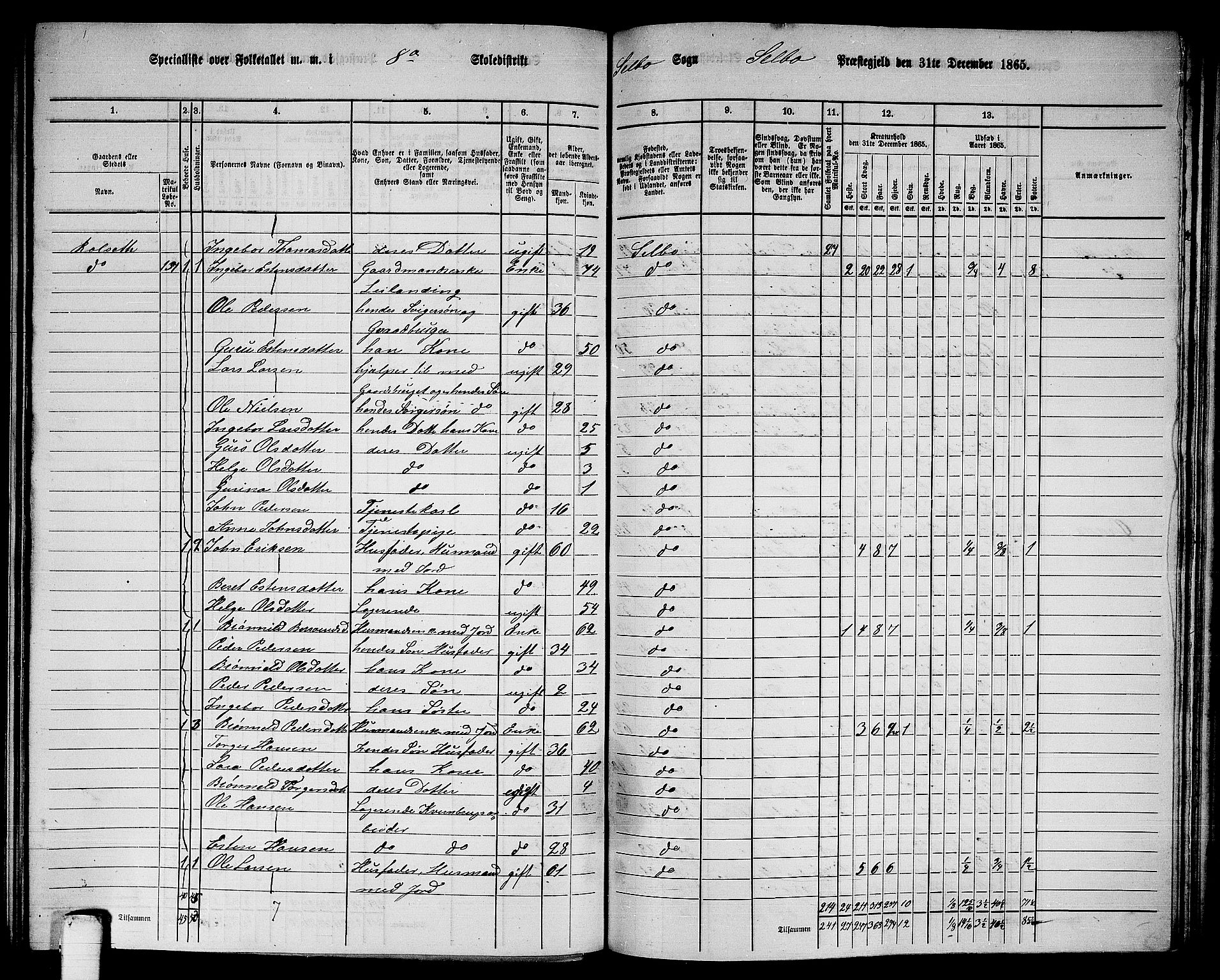 RA, 1865 census for Selbu, 1865, p. 143