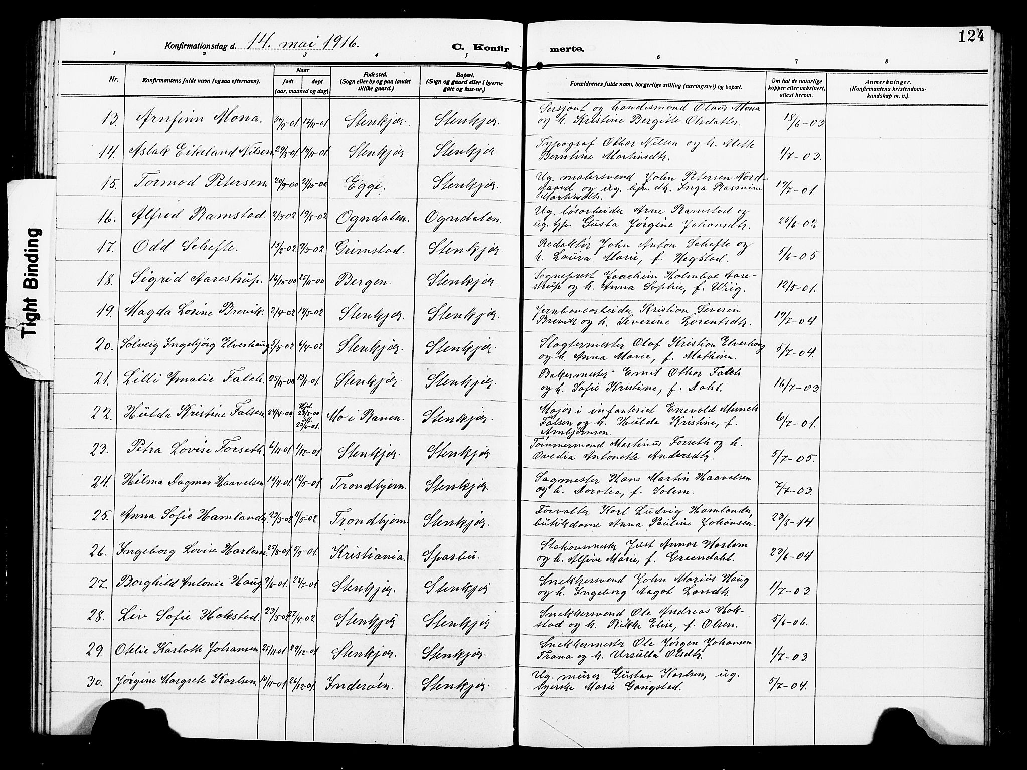 Ministerialprotokoller, klokkerbøker og fødselsregistre - Nord-Trøndelag, SAT/A-1458/739/L0376: Parish register (copy) no. 739C04, 1908-1917, p. 124