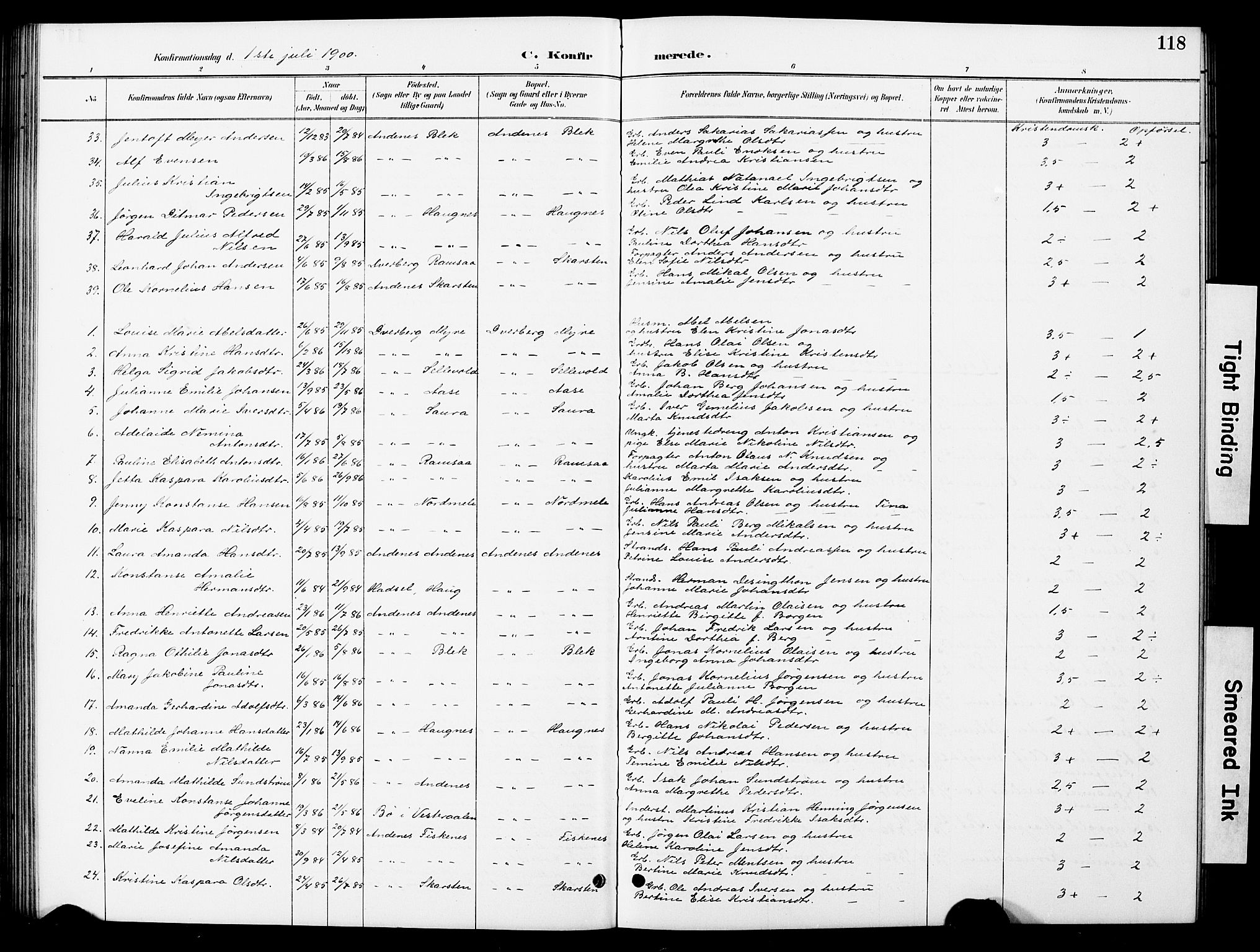 Ministerialprotokoller, klokkerbøker og fødselsregistre - Nordland, AV/SAT-A-1459/897/L1413: Parish register (copy) no. 897C03, 1887-1903, p. 118