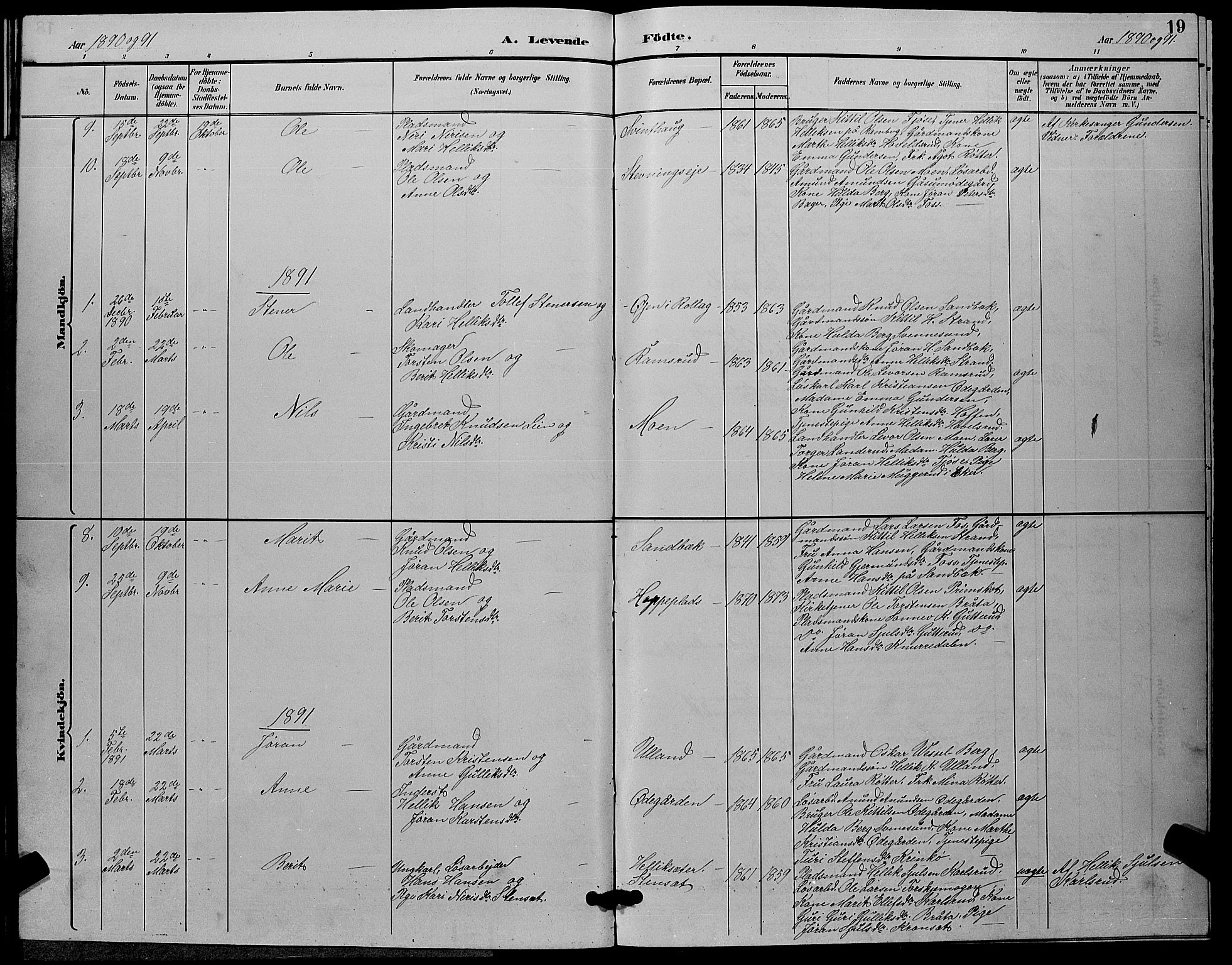 Flesberg kirkebøker, AV/SAKO-A-18/G/Ga/L0004: Parish register (copy) no. I 4 /2, 1890-1898, p. 19