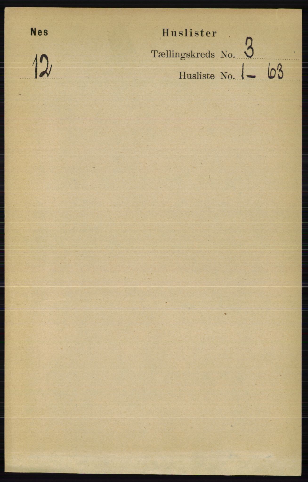 RA, 1891 census for 0411 Nes, 1891, p. 1520