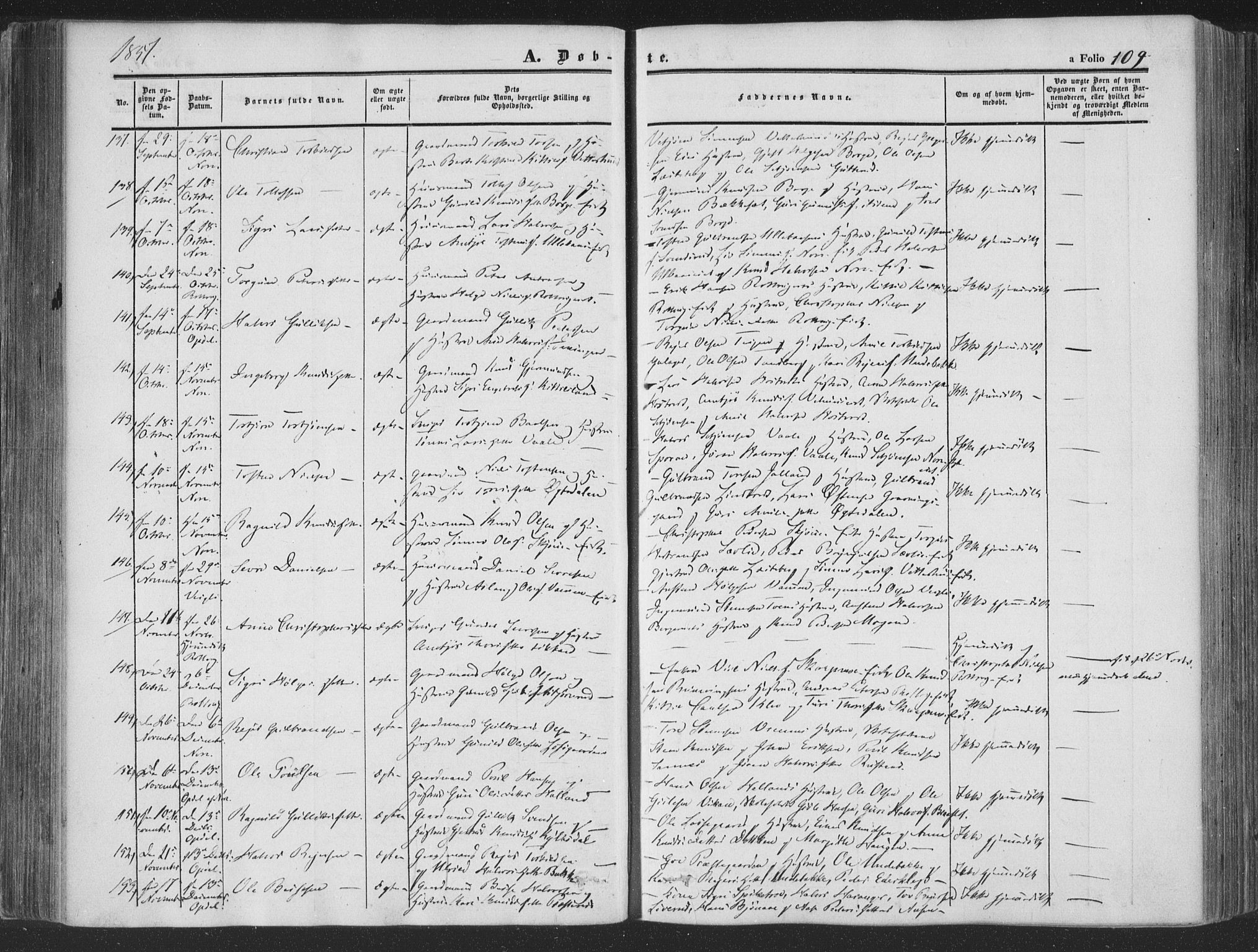 Rollag kirkebøker, AV/SAKO-A-240/F/Fa/L0008: Parish register (official) no. I 8, 1847-1860, p. 109