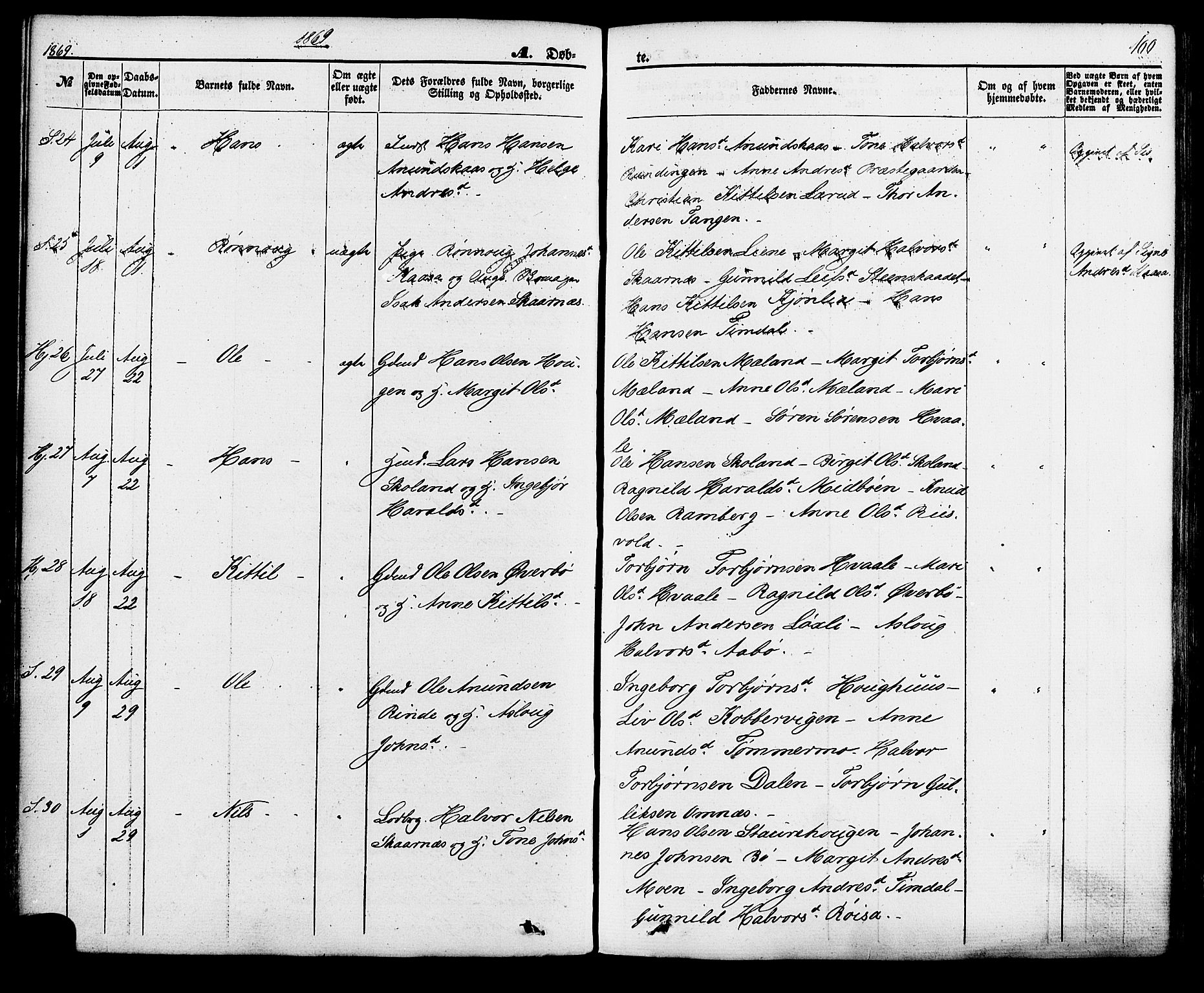 Hjartdal kirkebøker, AV/SAKO-A-270/F/Fa/L0009: Parish register (official) no. I 9, 1860-1879, p. 100