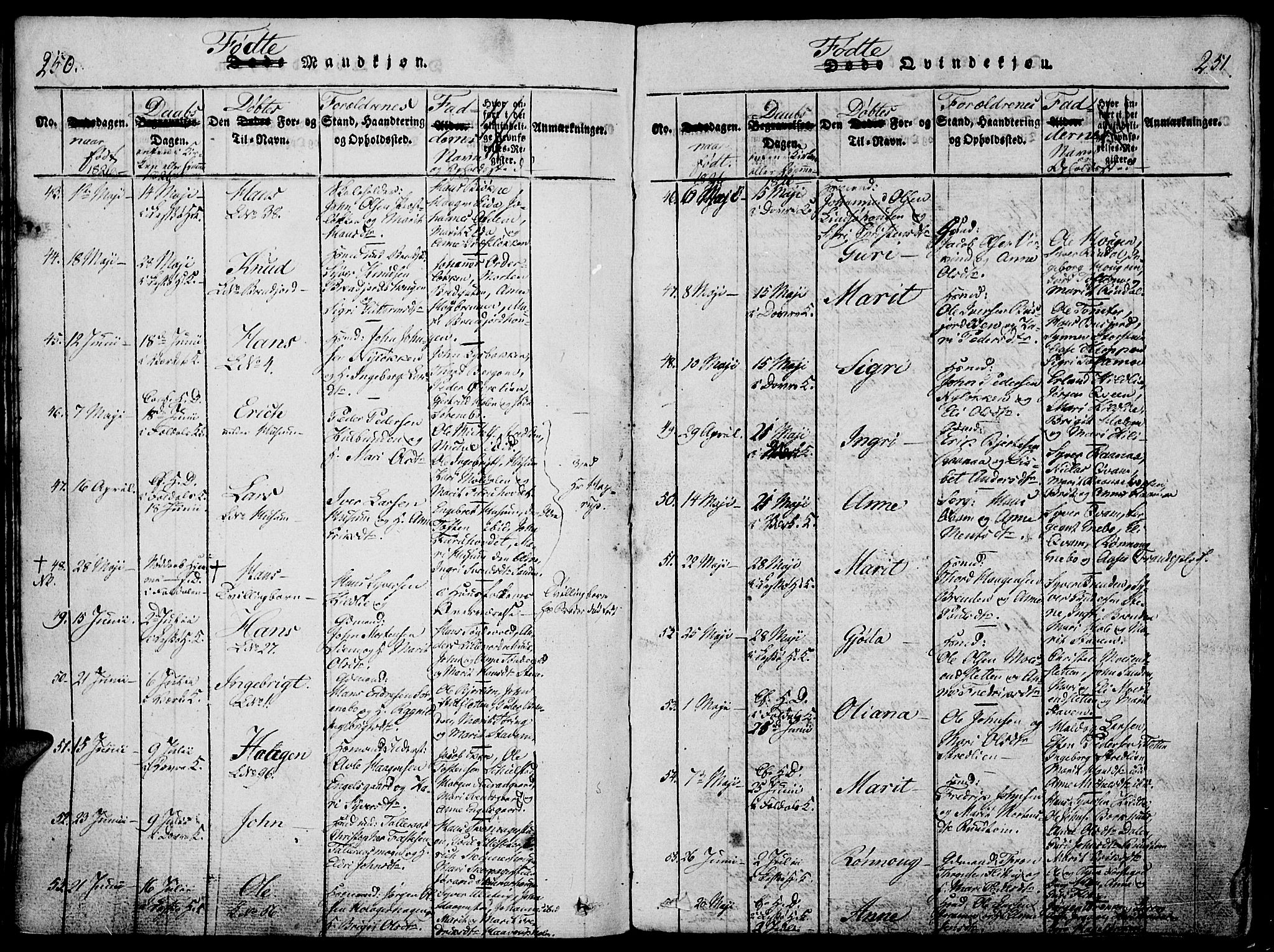 Lesja prestekontor, SAH/PREST-068/H/Ha/Haa/L0004: Parish register (official) no. 4, 1820-1829, p. 250-251