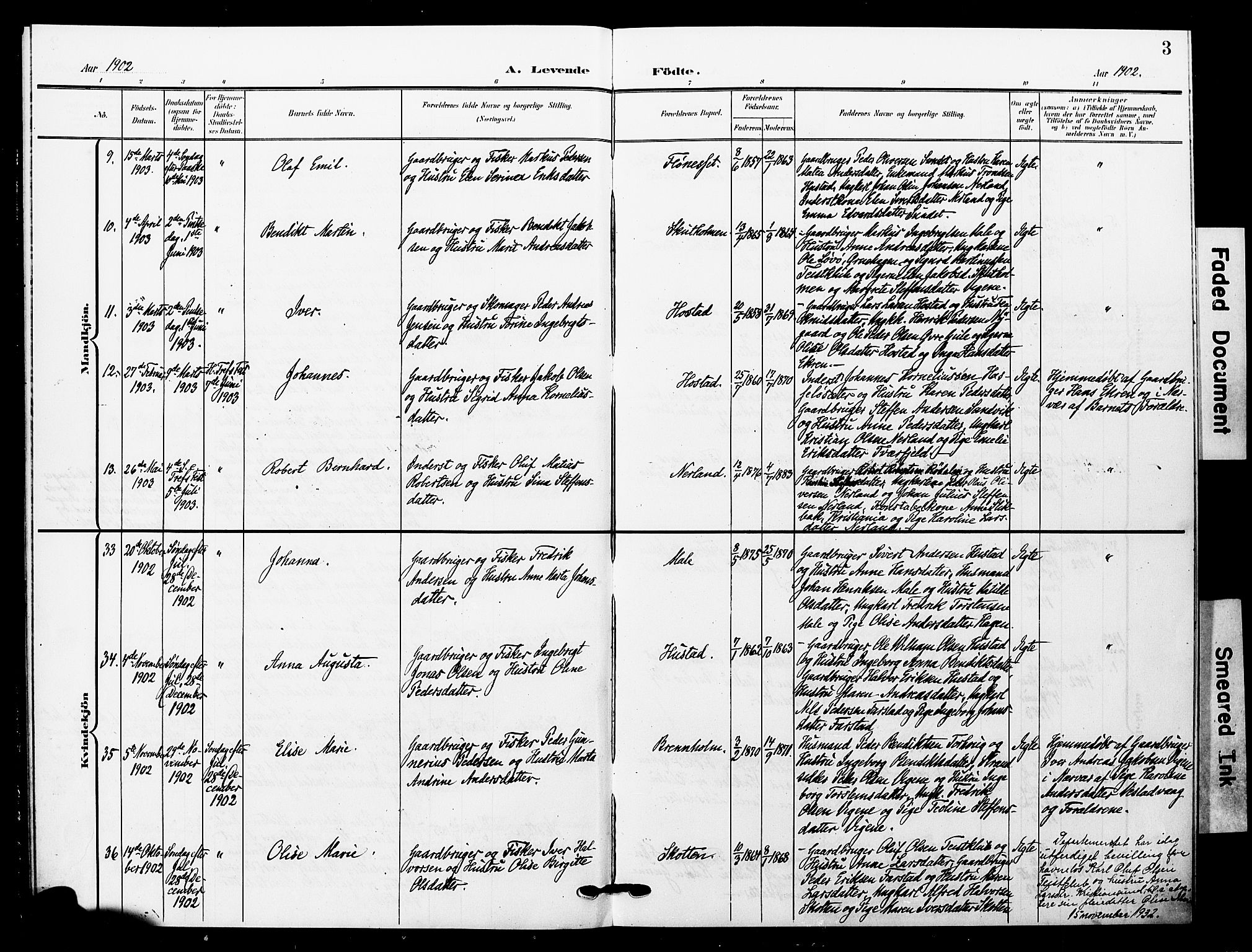 Ministerialprotokoller, klokkerbøker og fødselsregistre - Møre og Romsdal, AV/SAT-A-1454/567/L0780: Parish register (official) no. 567A03, 1902-1903, p. 3