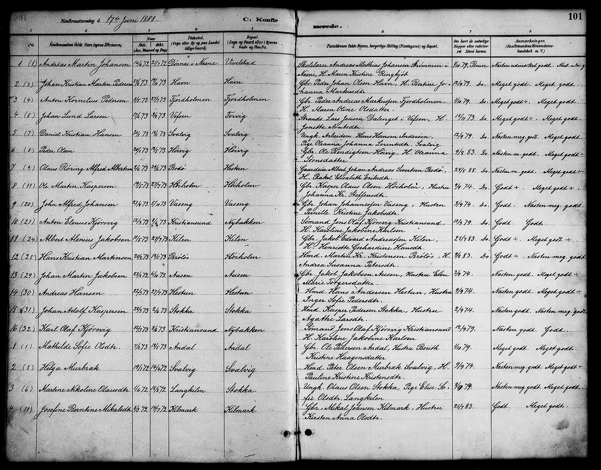 Ministerialprotokoller, klokkerbøker og fødselsregistre - Nordland, AV/SAT-A-1459/819/L0277: Parish register (copy) no. 819C03, 1888-1917, p. 101