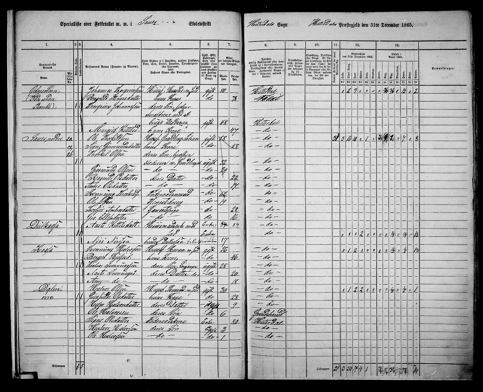 RA, 1865 census for Heddal, 1865, p. 14