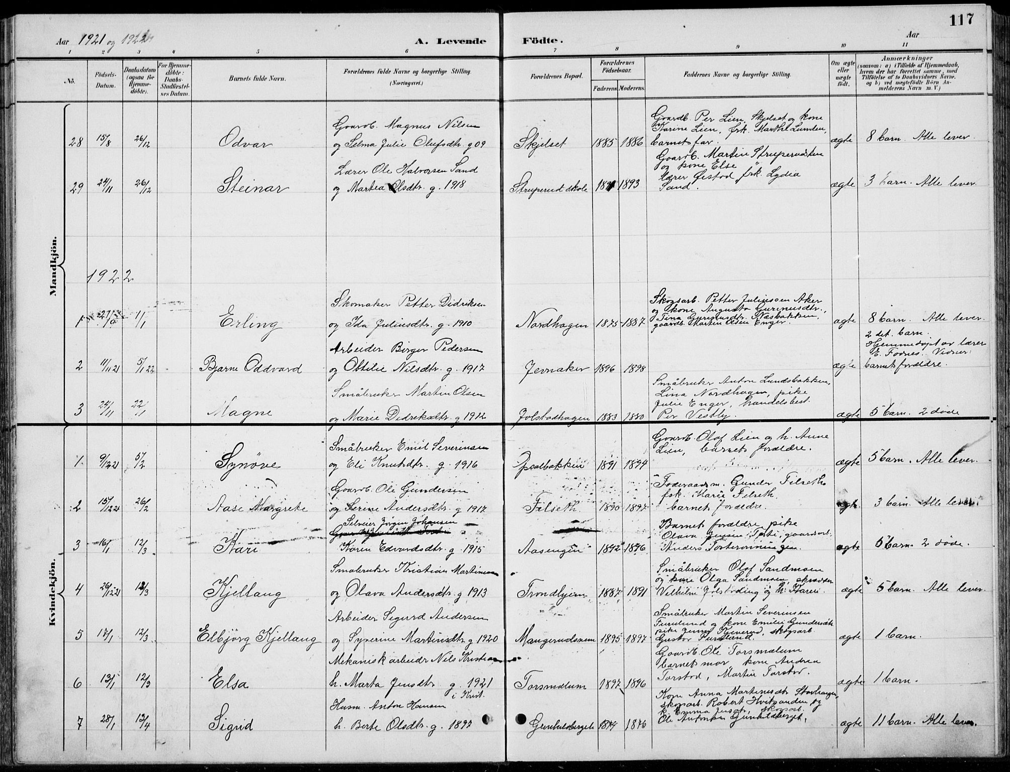 Romedal prestekontor, AV/SAH-PREST-004/L/L0013: Parish register (copy) no. 13, 1896-1937, p. 117