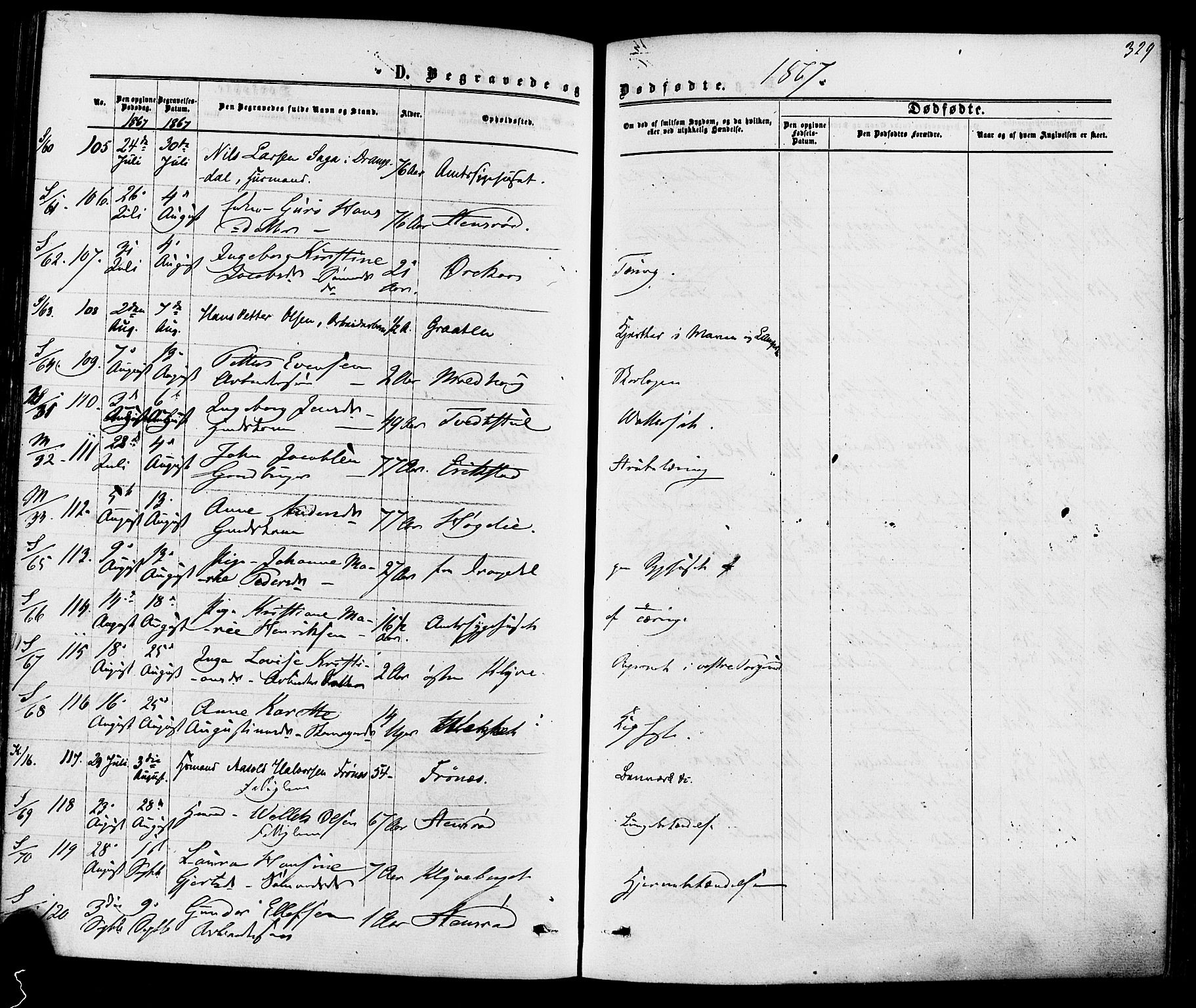 Solum kirkebøker, AV/SAKO-A-306/F/Fa/L0008: Parish register (official) no. I 8, 1865-1876, p. 329