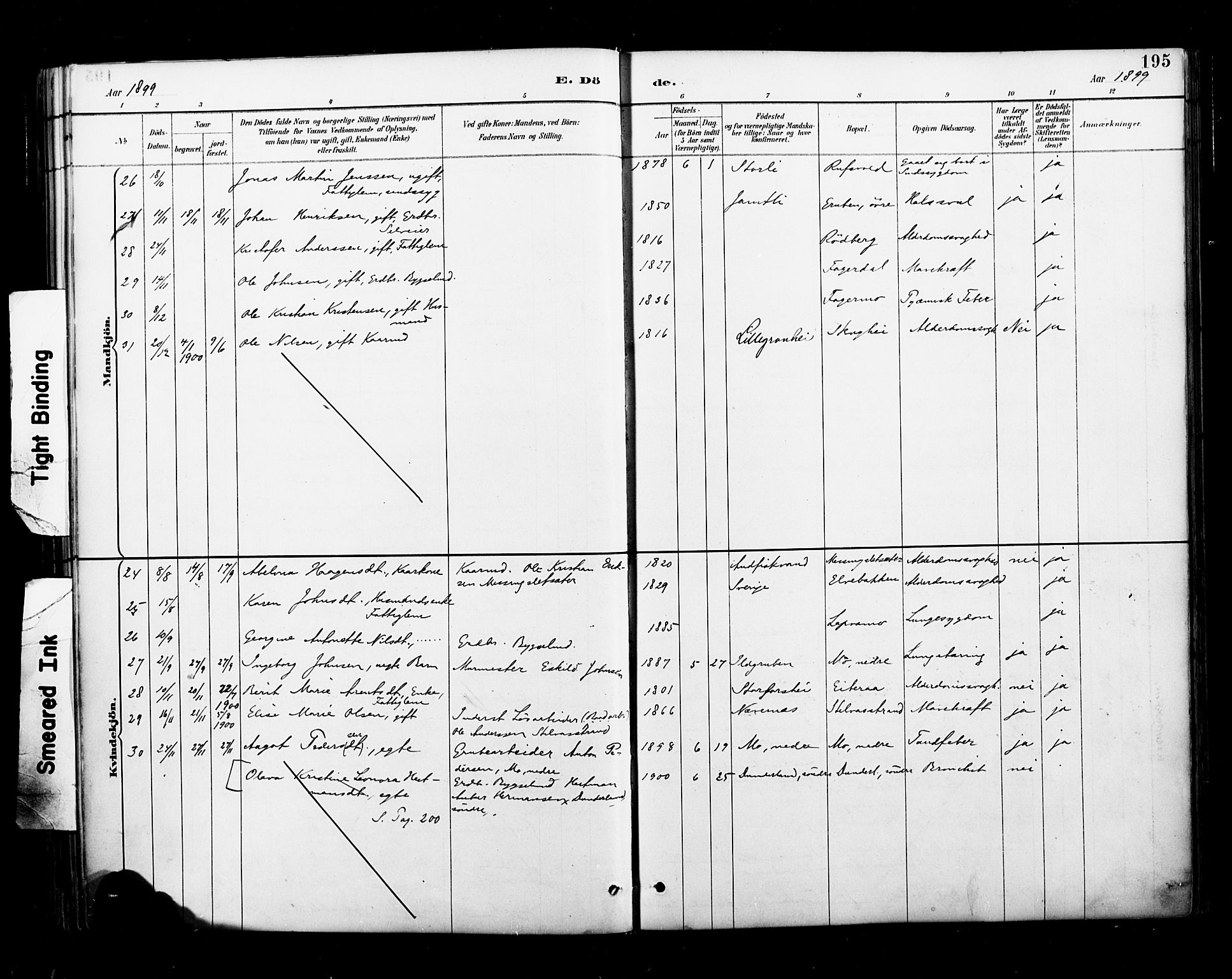 Ministerialprotokoller, klokkerbøker og fødselsregistre - Nordland, AV/SAT-A-1459/827/L0401: Parish register (official) no. 827A13, 1887-1905, p. 195