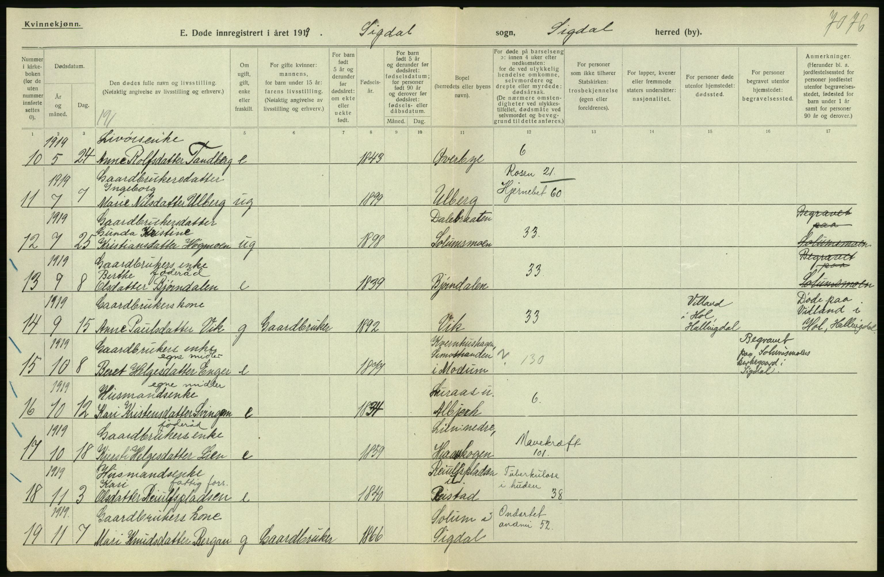 Statistisk sentralbyrå, Sosiodemografiske emner, Befolkning, AV/RA-S-2228/D/Df/Dfb/Dfbi/L0018: Buskerud fylke: Døde. Bygder og byer., 1919, p. 58