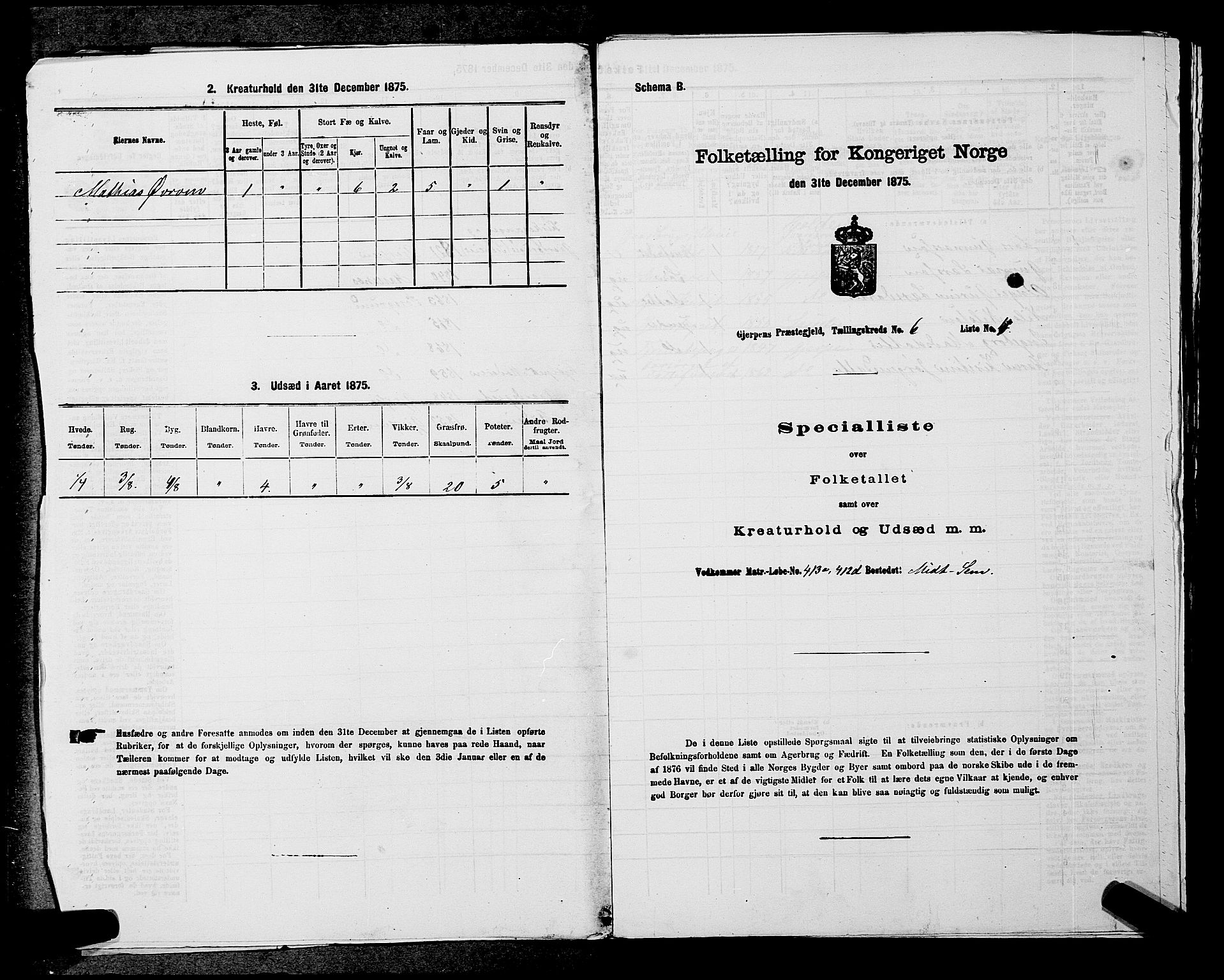 SAKO, 1875 census for 0812P Gjerpen, 1875, p. 729