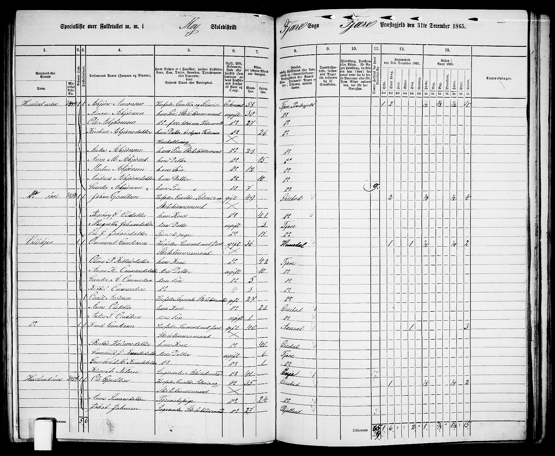 RA, 1865 census for Fjære/Fjære, 1865, p. 126