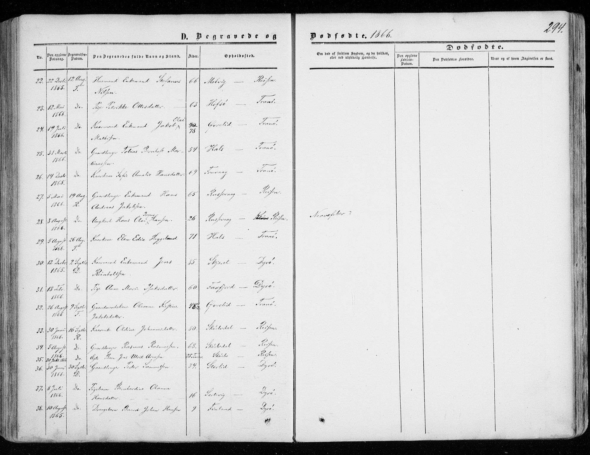 Tranøy sokneprestkontor, AV/SATØ-S-1313/I/Ia/Iaa/L0007kirke: Parish register (official) no. 7, 1856-1866, p. 294