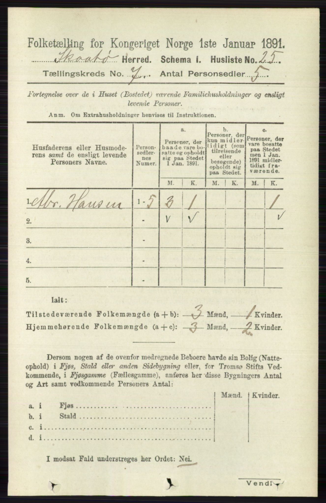 RA, 1891 census for 0815 Skåtøy, 1891, p. 3022