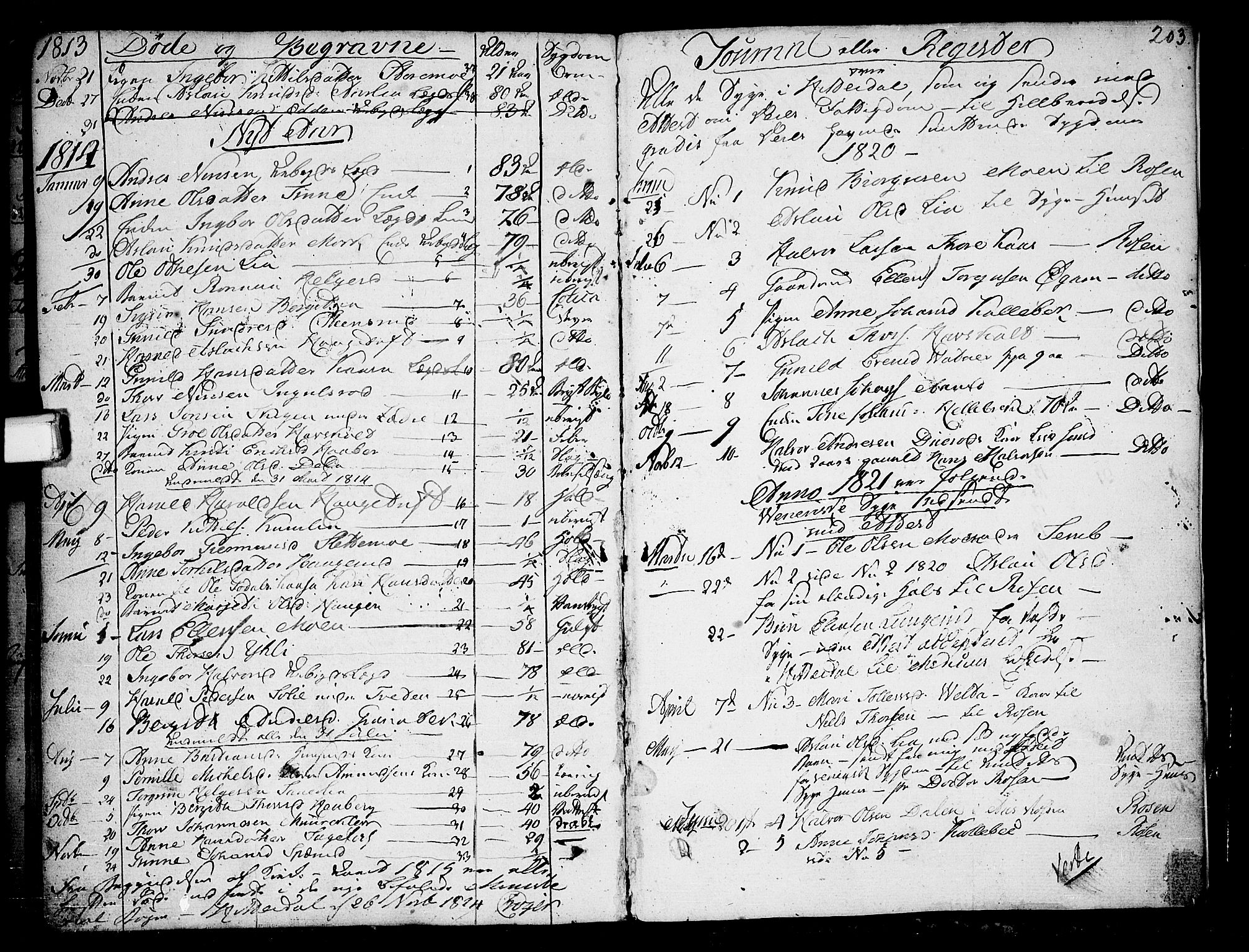 Heddal kirkebøker, SAKO/A-268/F/Fa/L0004: Parish register (official) no. I 4, 1784-1814, p. 203