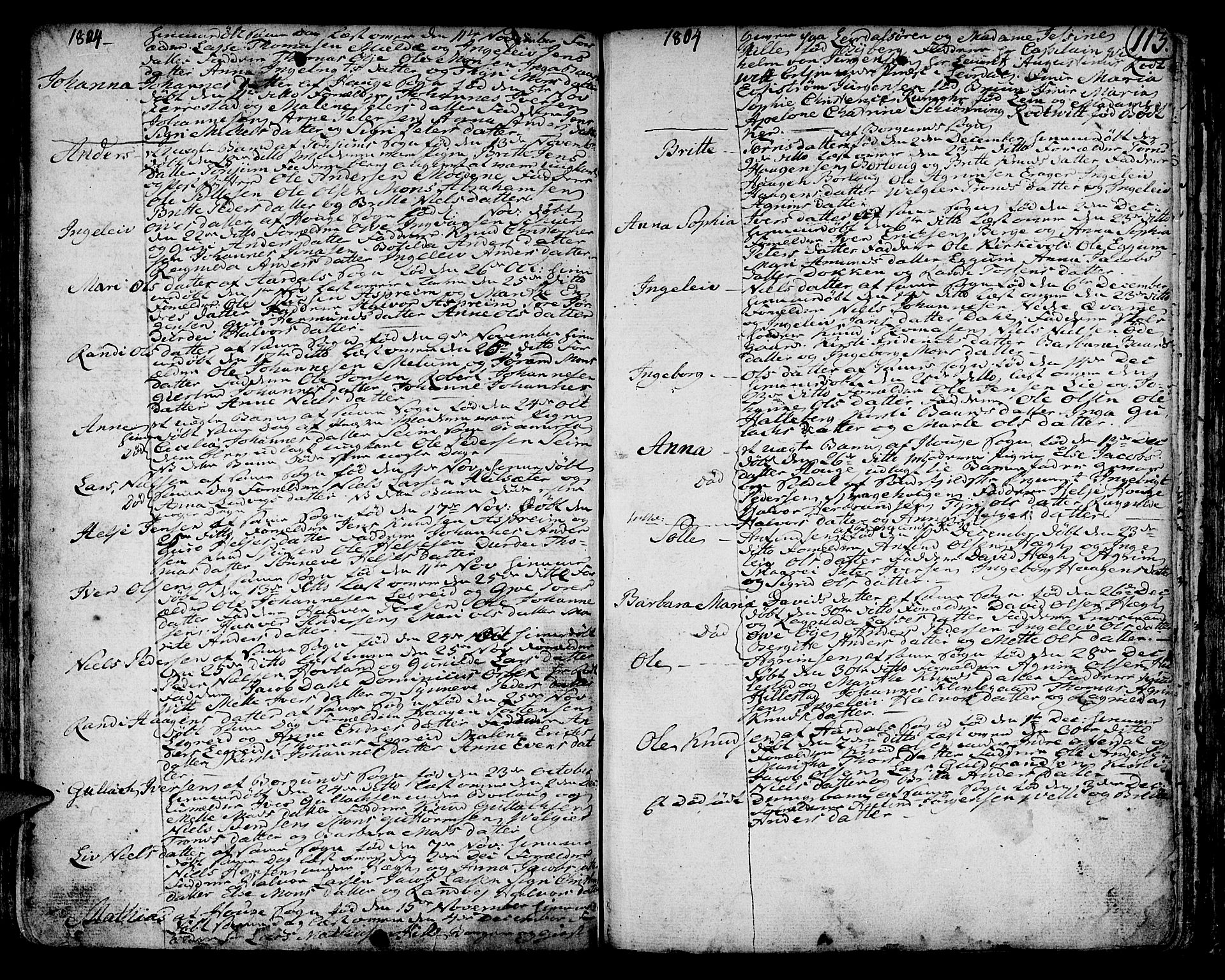 Lærdal sokneprestembete, AV/SAB-A-81201: Parish register (official) no. A 3, 1783-1804, p. 113