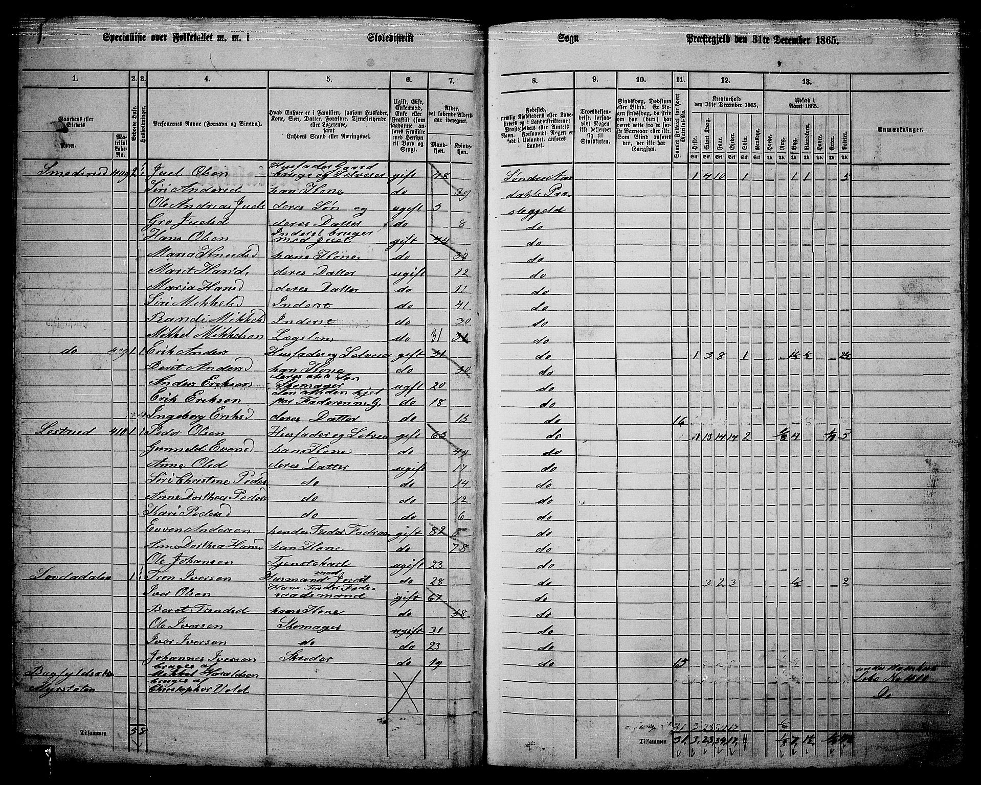 RA, 1865 census for Sør-Aurdal, 1865, p. 49