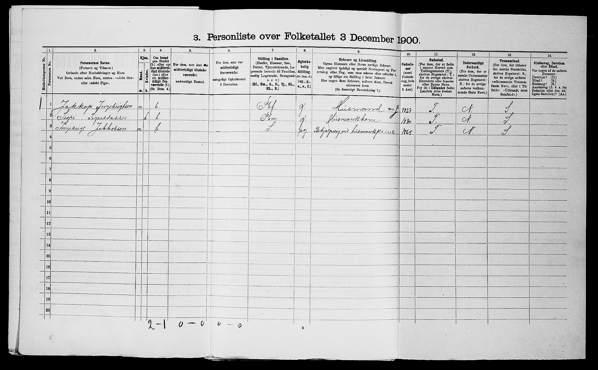 SAST, 1900 census for Skjold, 1900, p. 213