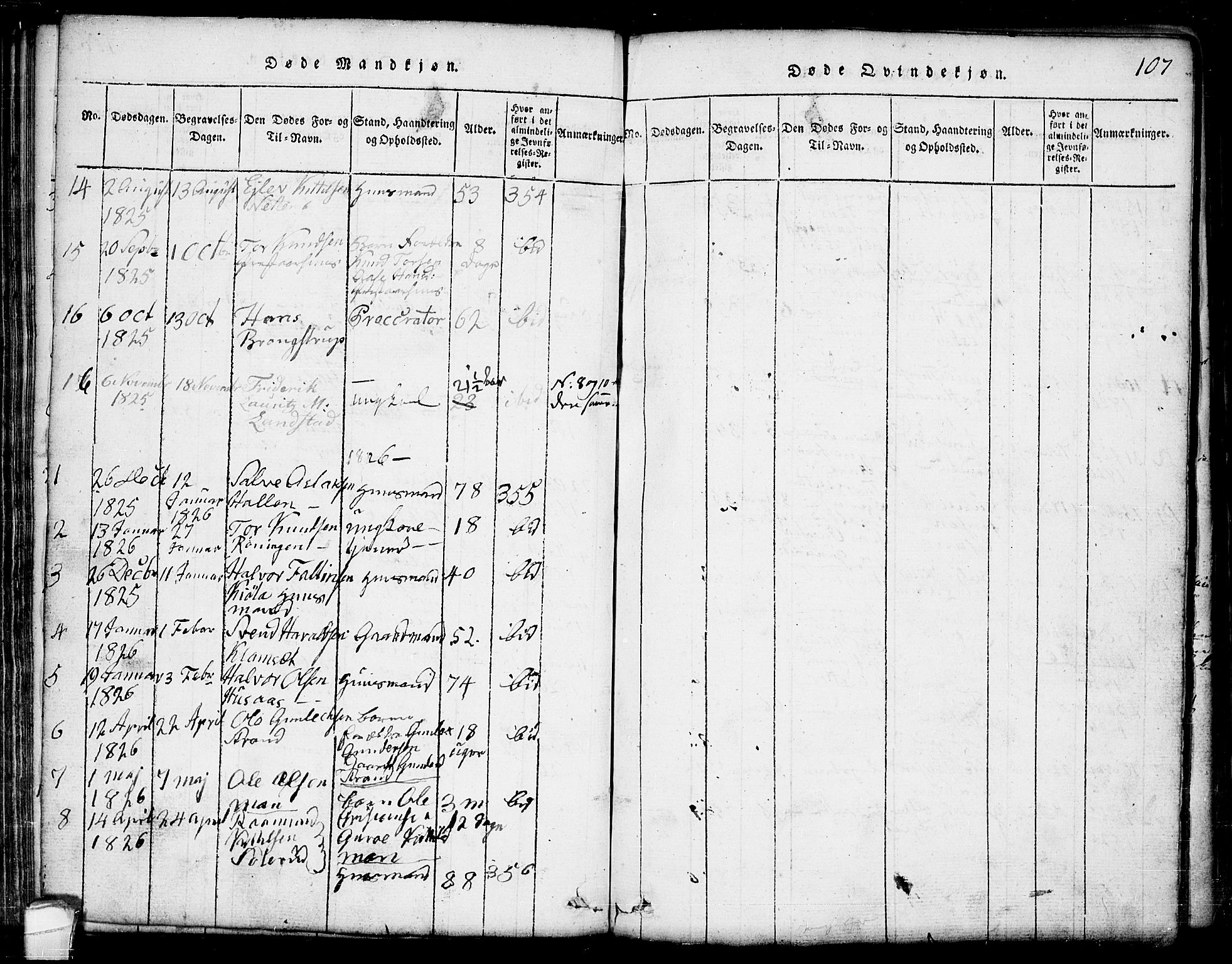 Seljord kirkebøker, SAKO/A-20/G/Ga/L0001: Parish register (copy) no. I 1, 1815-1854, p. 107