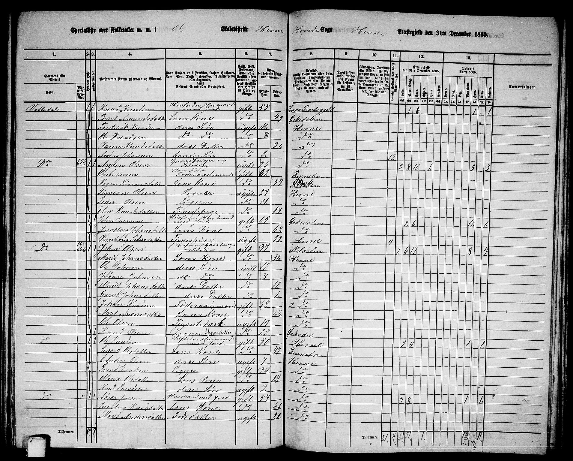 RA, 1865 census for Hemne, 1865, p. 141