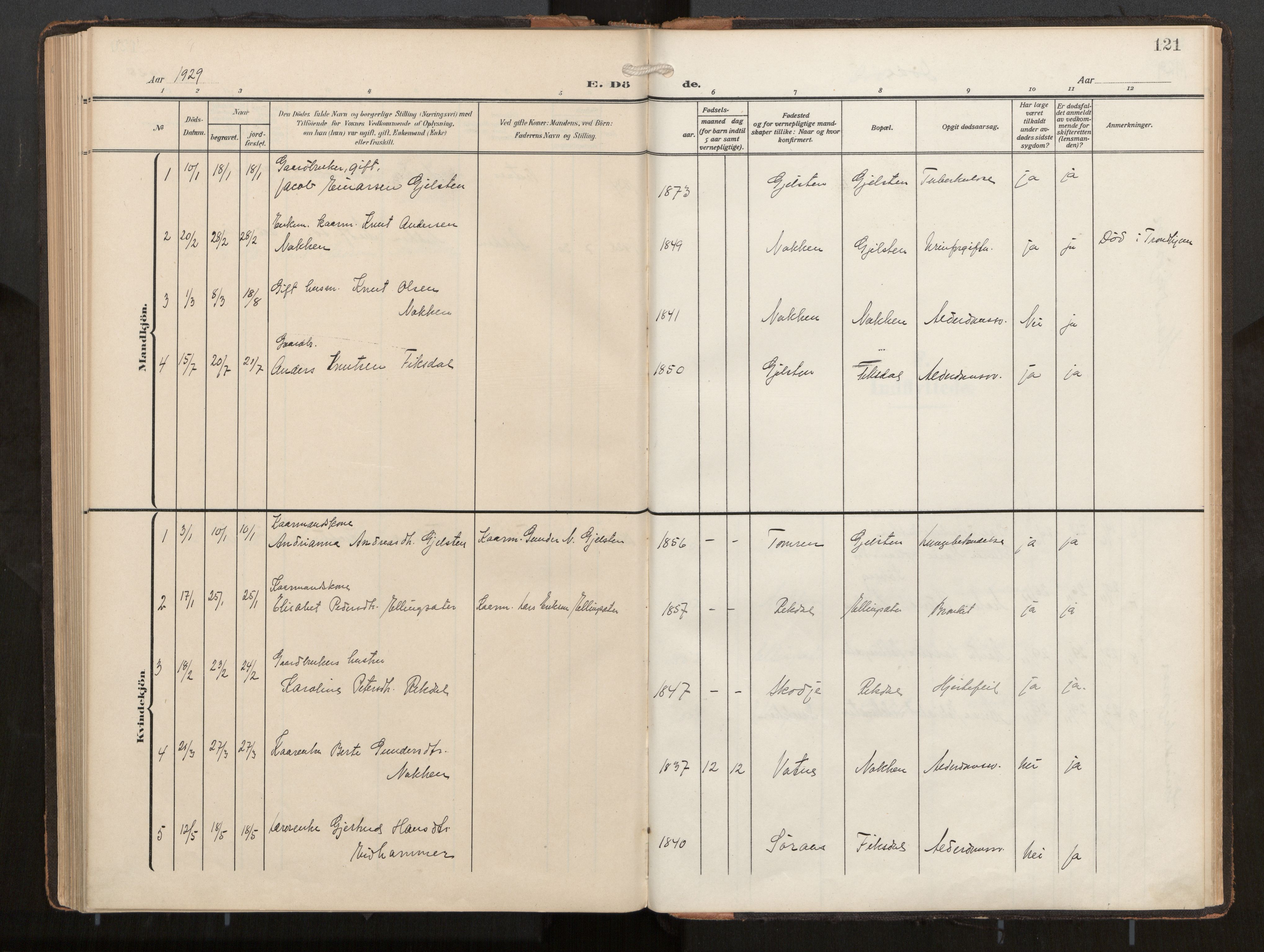 Ministerialprotokoller, klokkerbøker og fødselsregistre - Møre og Romsdal, AV/SAT-A-1454/540/L0540b: Parish register (official) no. 540A03, 1909-1932, p. 121