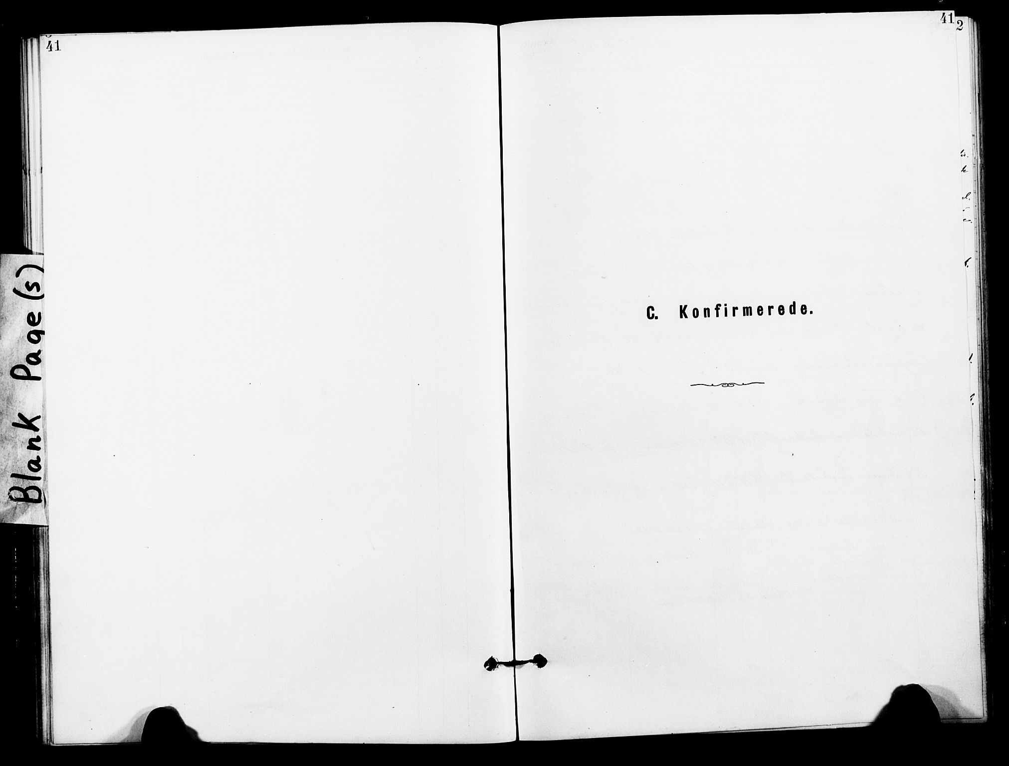 Målselv sokneprestembete, SATØ/S-1311/G/Ga/Gaa/L0006kirke: Parish register (official) no. 6, 1884-1902, p. 41