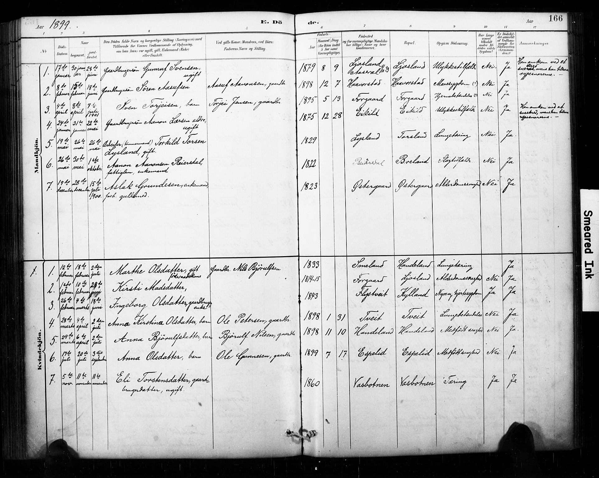 Åseral sokneprestkontor, AV/SAK-1111-0051/F/Fa/L0003: Parish register (official) no. A 3, 1884-1901, p. 166