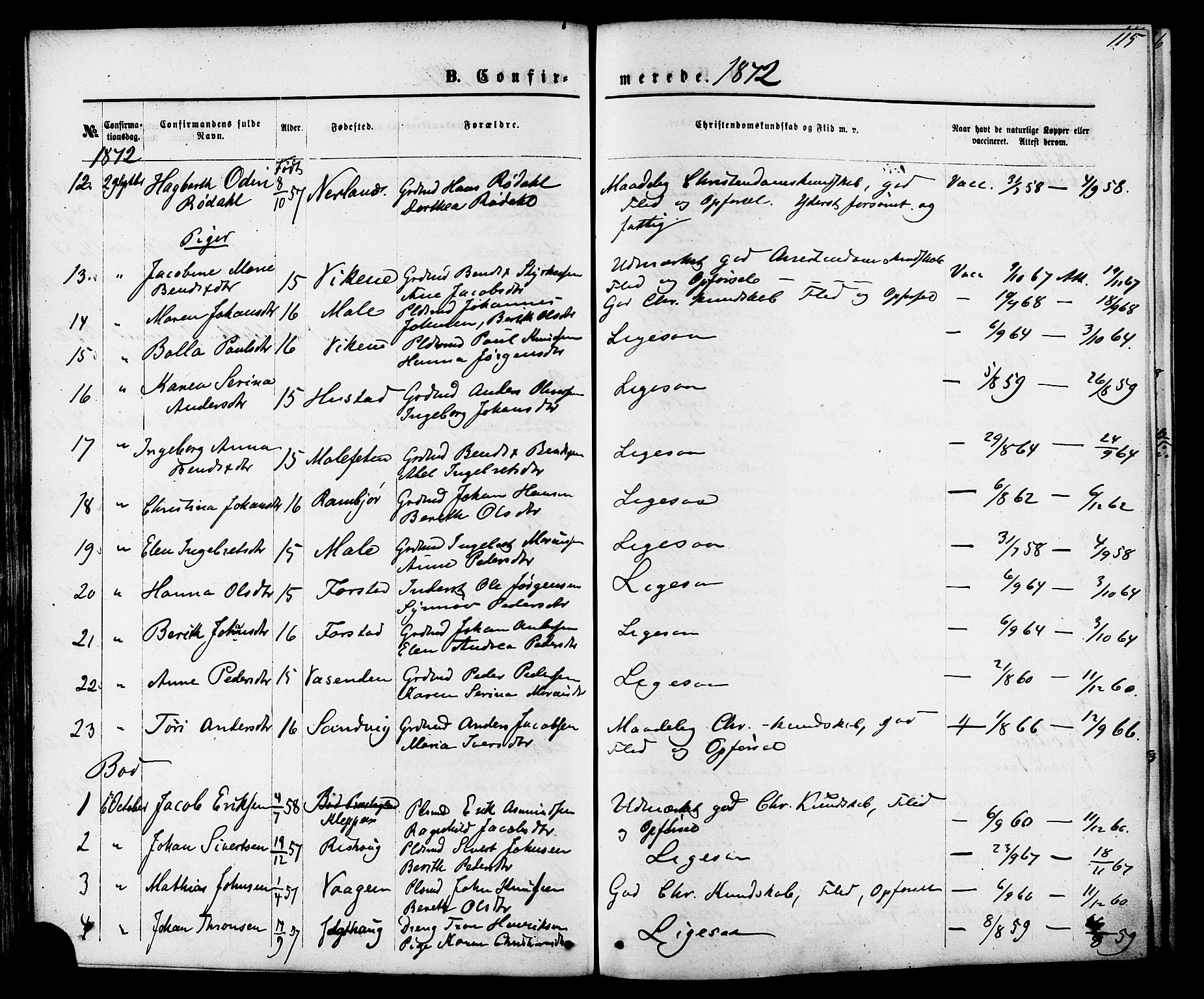 Ministerialprotokoller, klokkerbøker og fødselsregistre - Møre og Romsdal, AV/SAT-A-1454/566/L0768: Parish register (official) no. 566A07, 1869-1881, p. 115