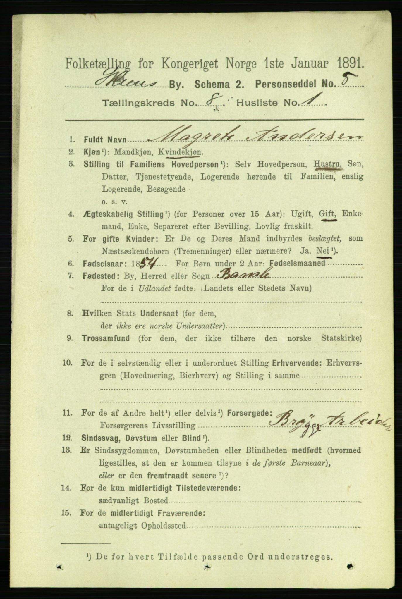 RA, 1891 census for 0806 Skien, 1891, p. 3272