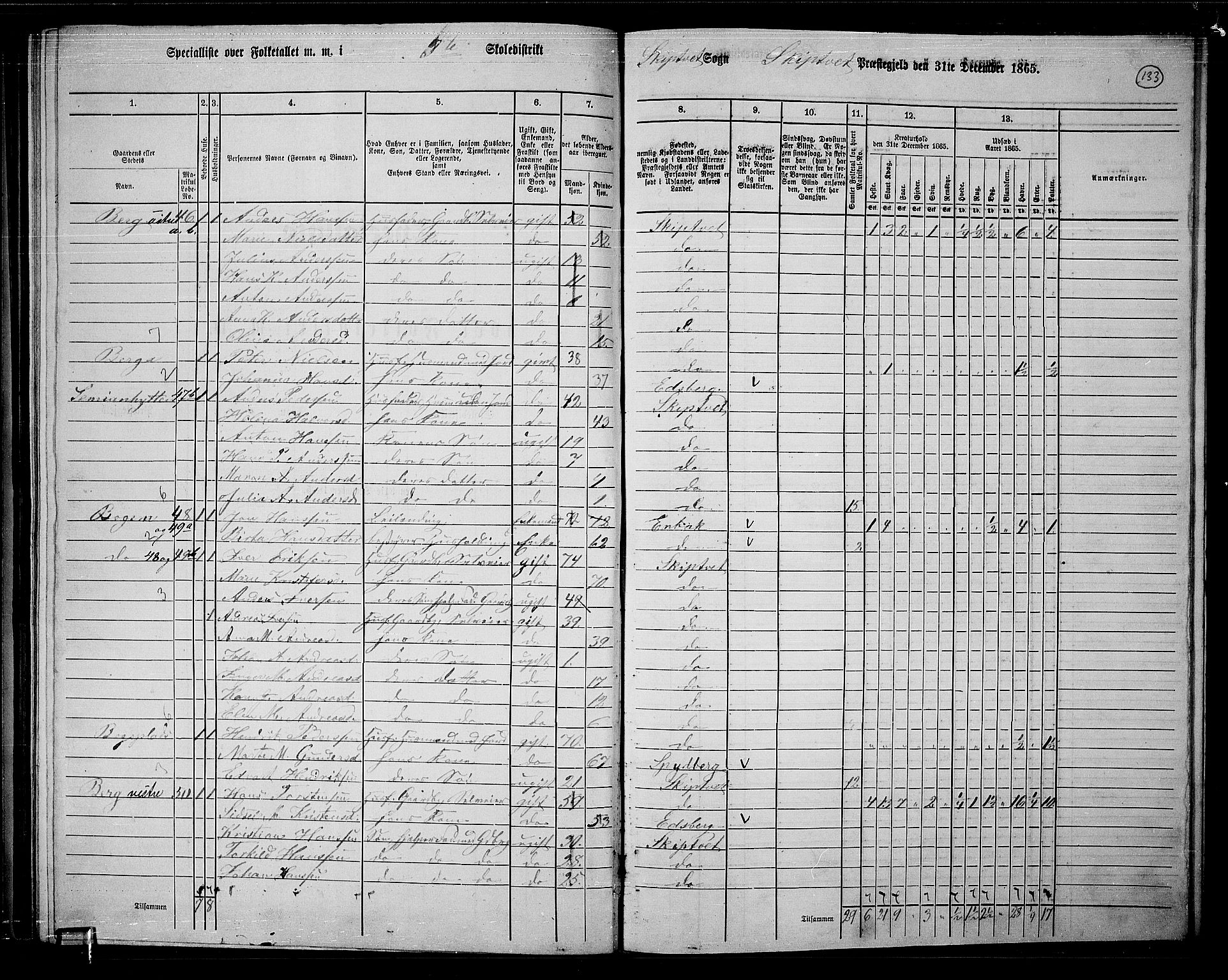 RA, 1865 census for Skiptvet, 1865, p. 116