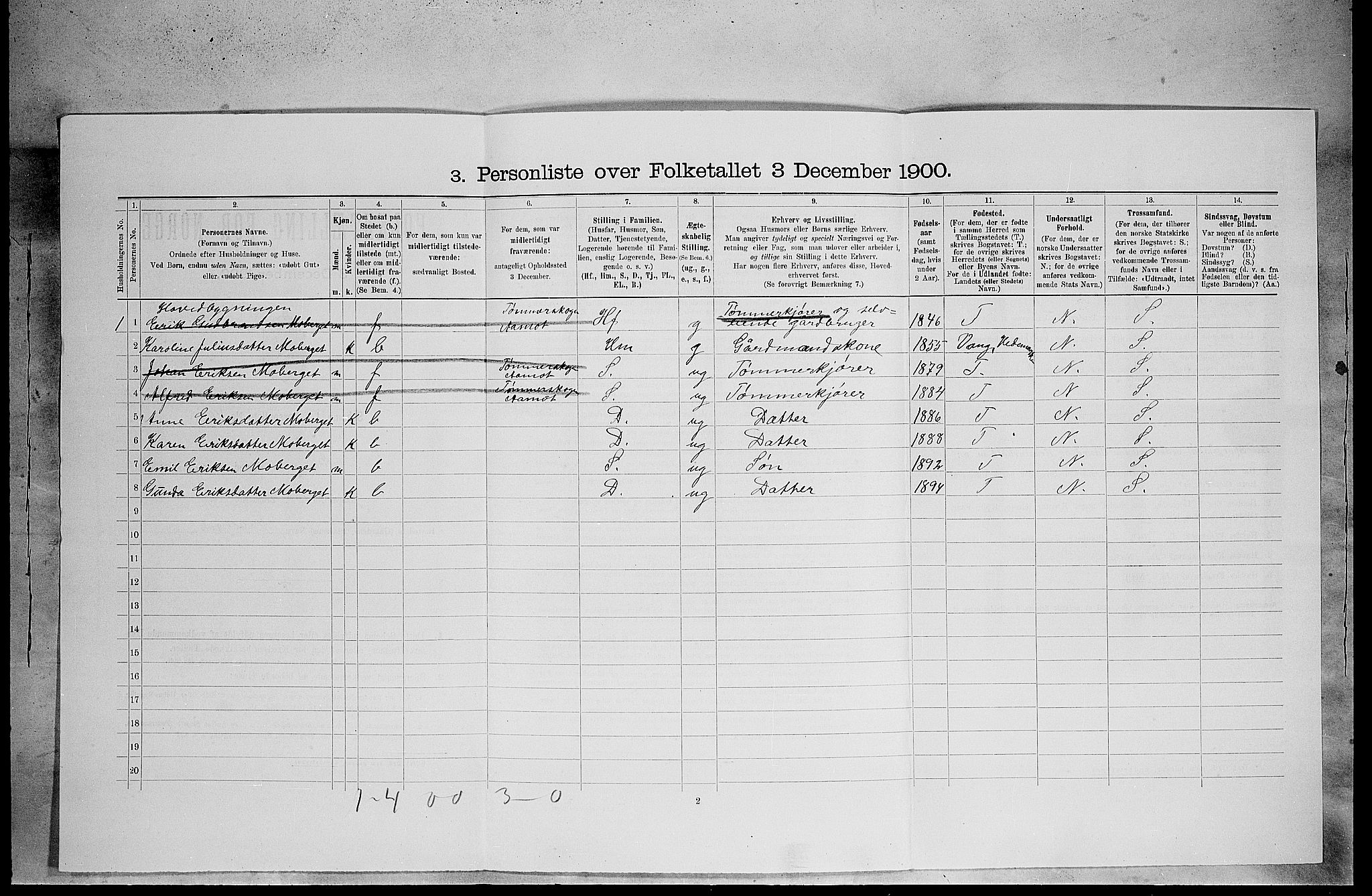 SAH, 1900 census for Elverum, 1900, p. 2306