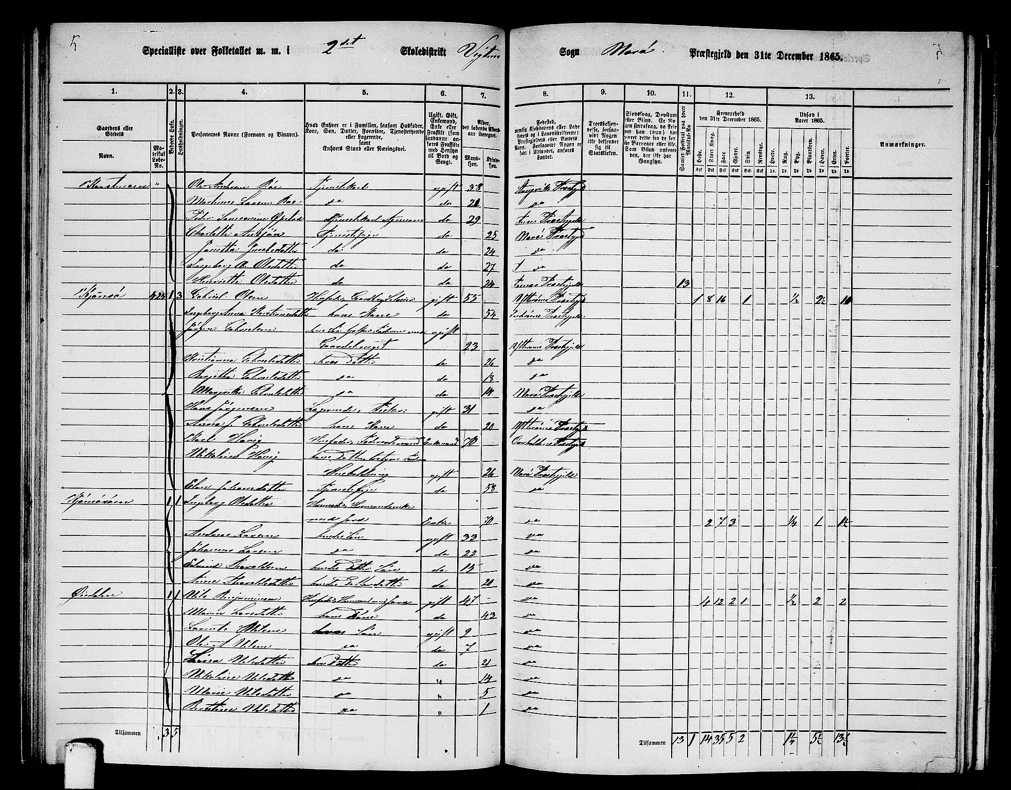 RA, 1865 census for Nærøy, 1865, p. 107