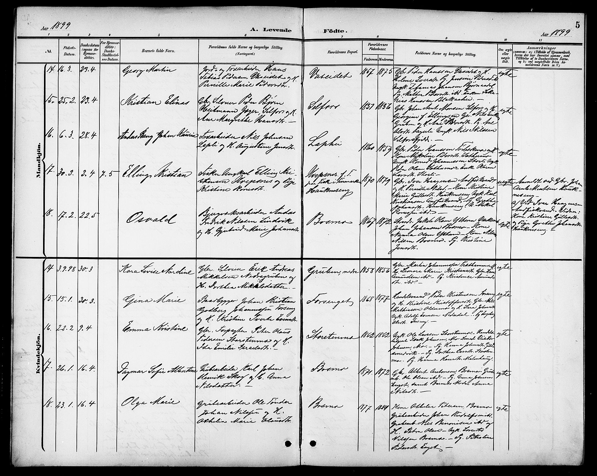 Ministerialprotokoller, klokkerbøker og fødselsregistre - Nordland, SAT/A-1459/827/L0422: Parish register (copy) no. 827C11, 1899-1912, p. 5