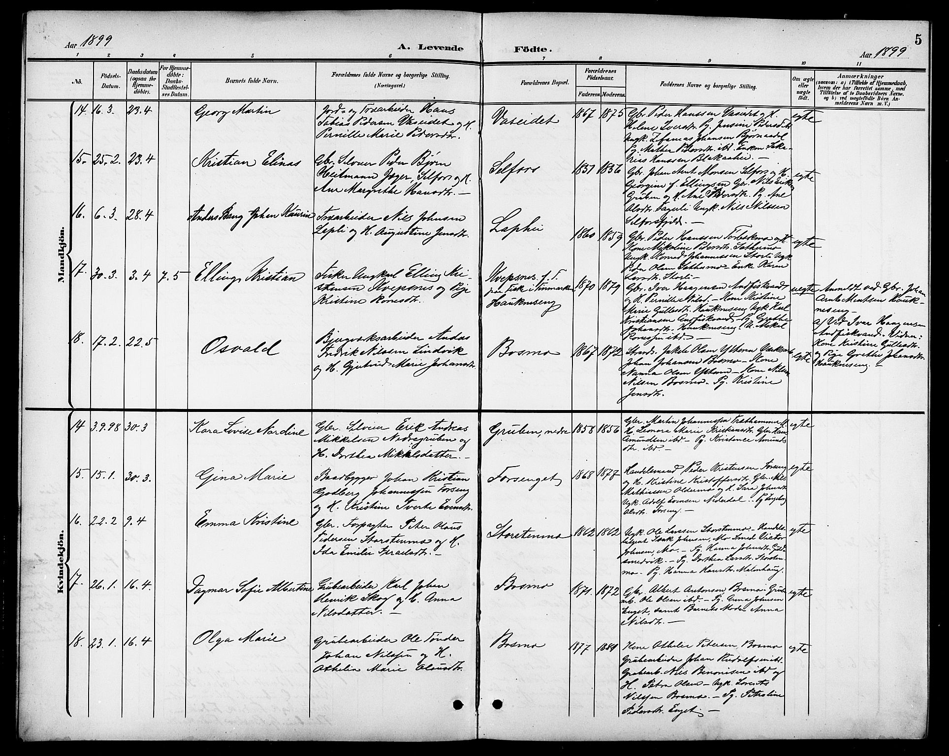 Ministerialprotokoller, klokkerbøker og fødselsregistre - Nordland, AV/SAT-A-1459/827/L0422: Parish register (copy) no. 827C11, 1899-1912, p. 5