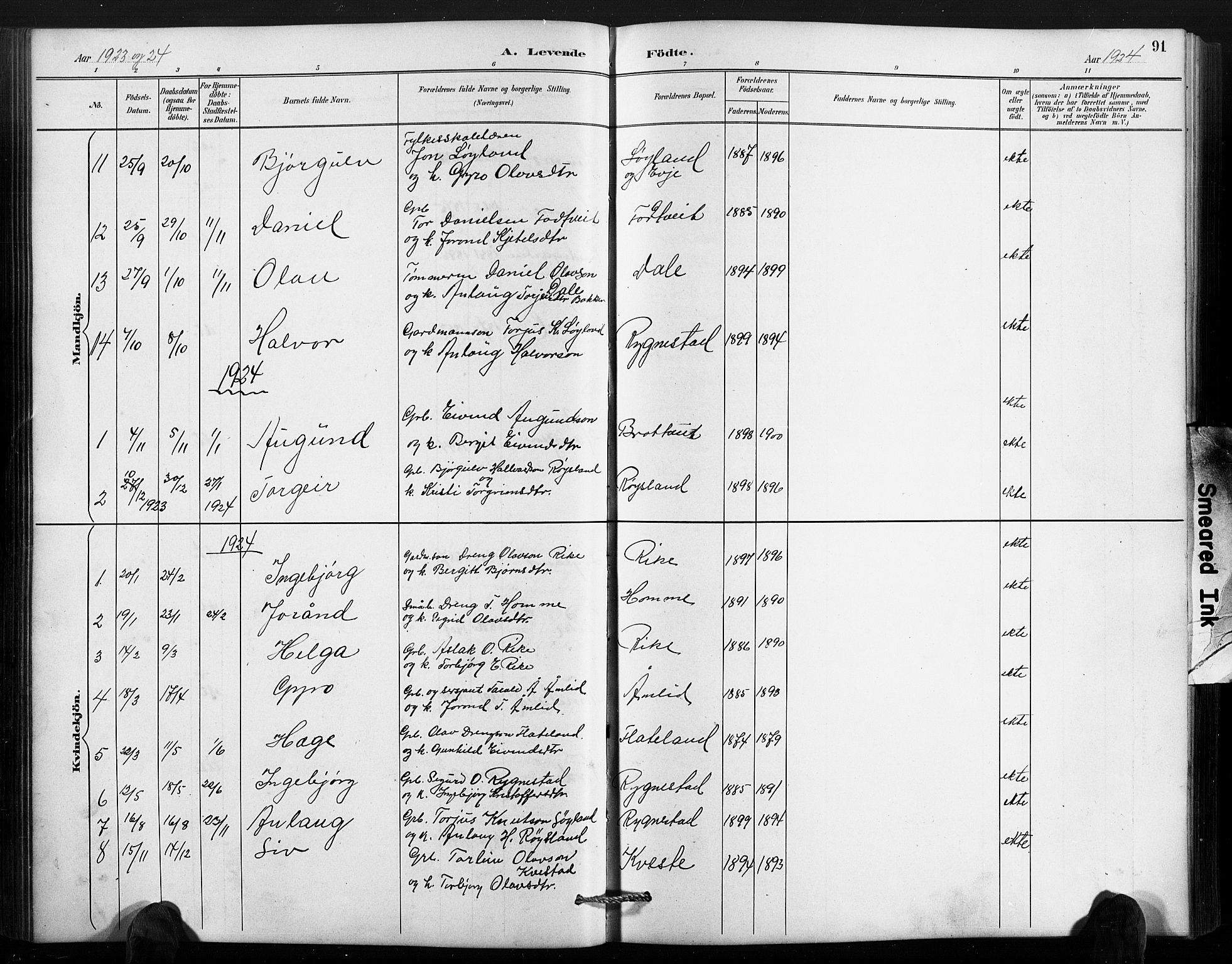 Valle sokneprestkontor, SAK/1111-0044/F/Fb/Fbc/L0004: Parish register (copy) no. B 4, 1890-1928, p. 91
