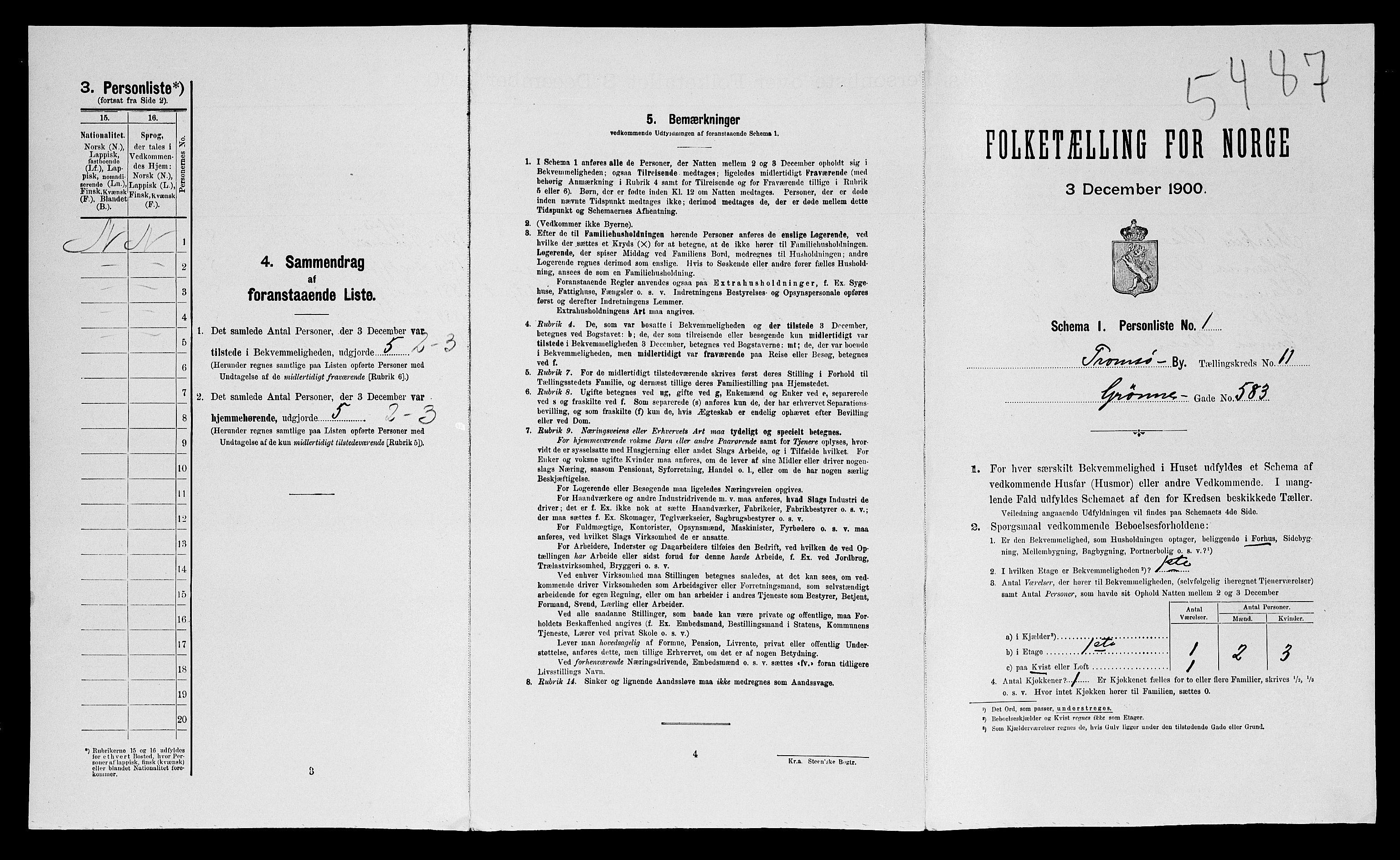 SATØ, 1900 census for Tromsø, 1900, p. 3265