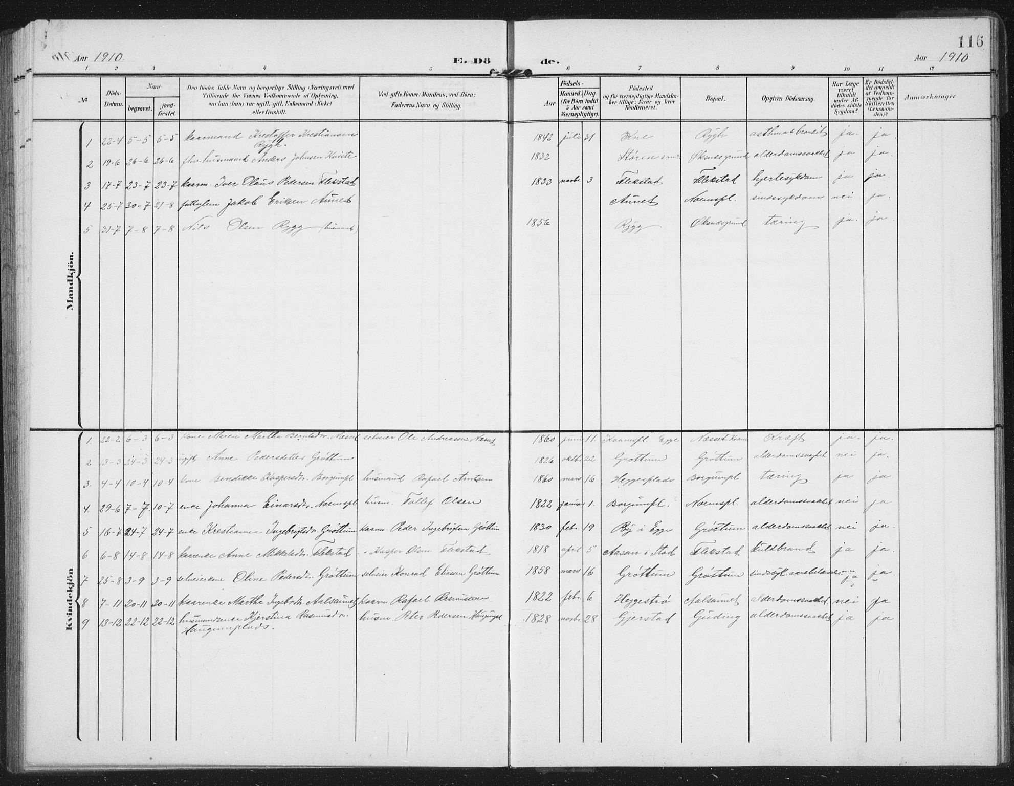 Ministerialprotokoller, klokkerbøker og fødselsregistre - Nord-Trøndelag, AV/SAT-A-1458/747/L0460: Parish register (copy) no. 747C02, 1908-1939, p. 116